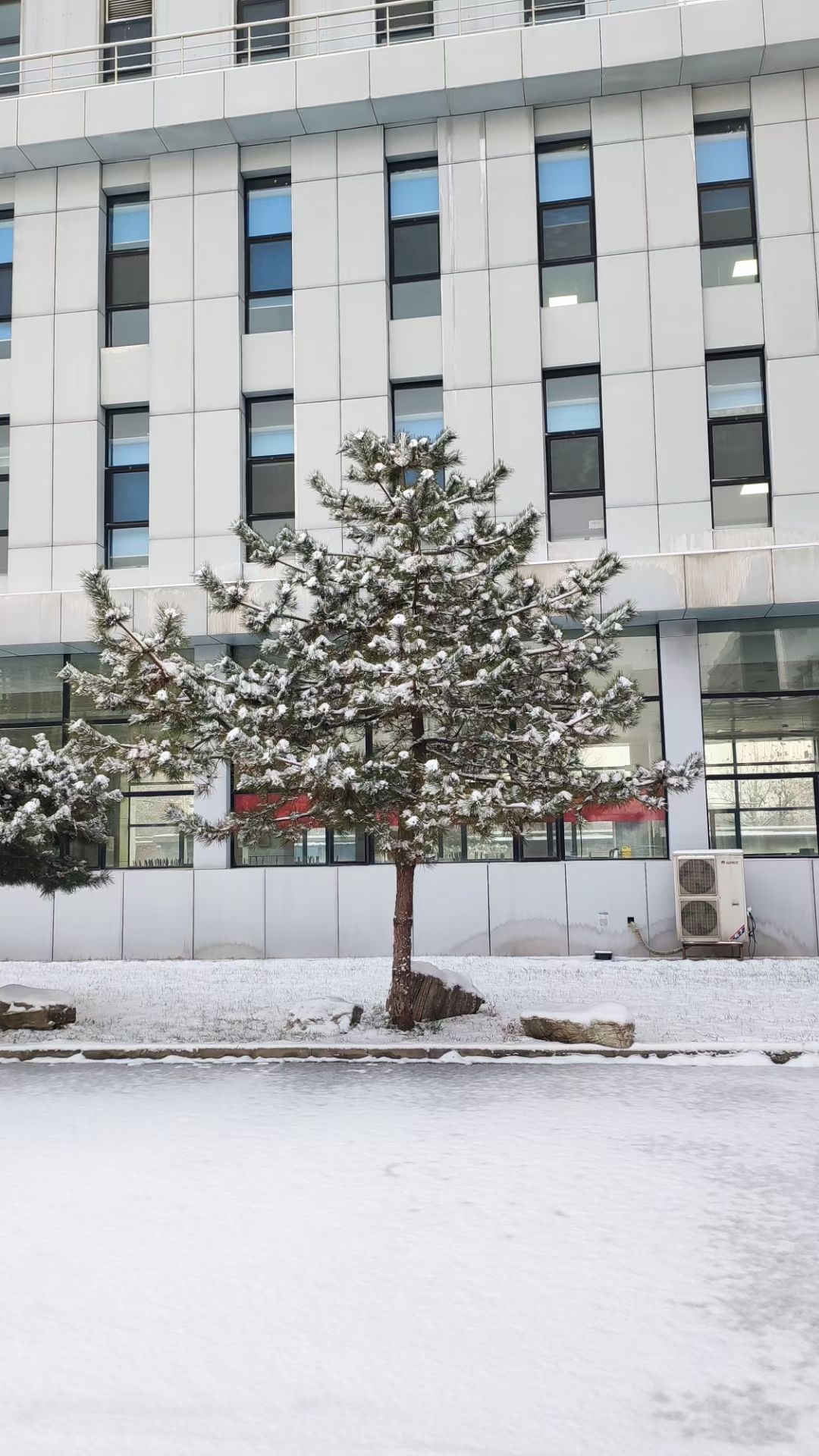 华北制药集团新药研究开发有限责任公司(东区)