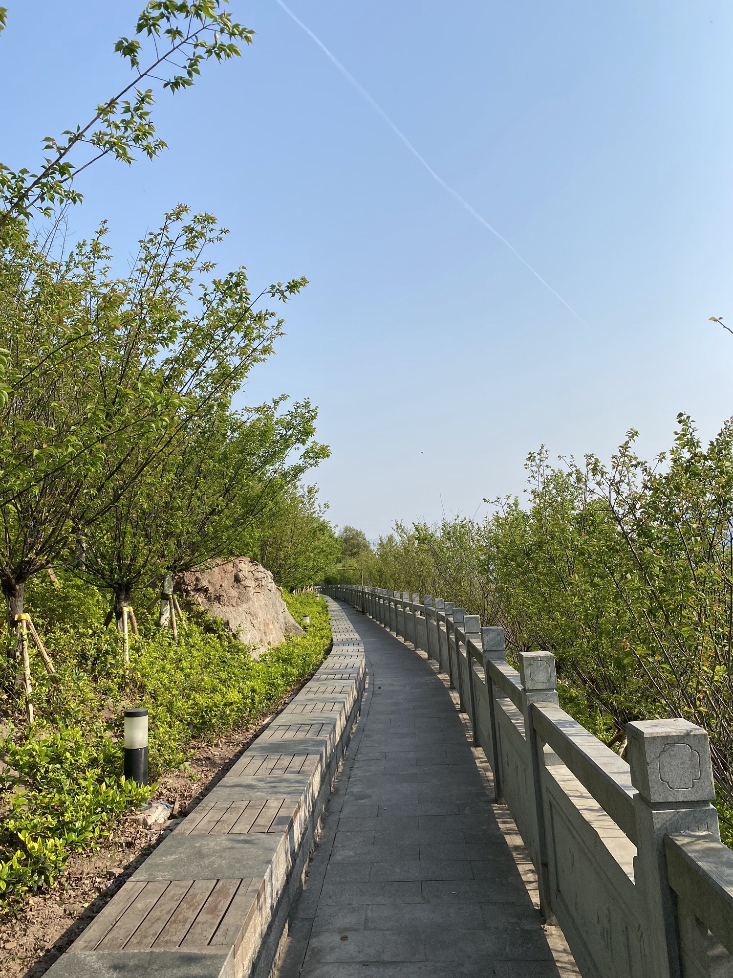 雅巴洞江滩公园旅行图片 3
