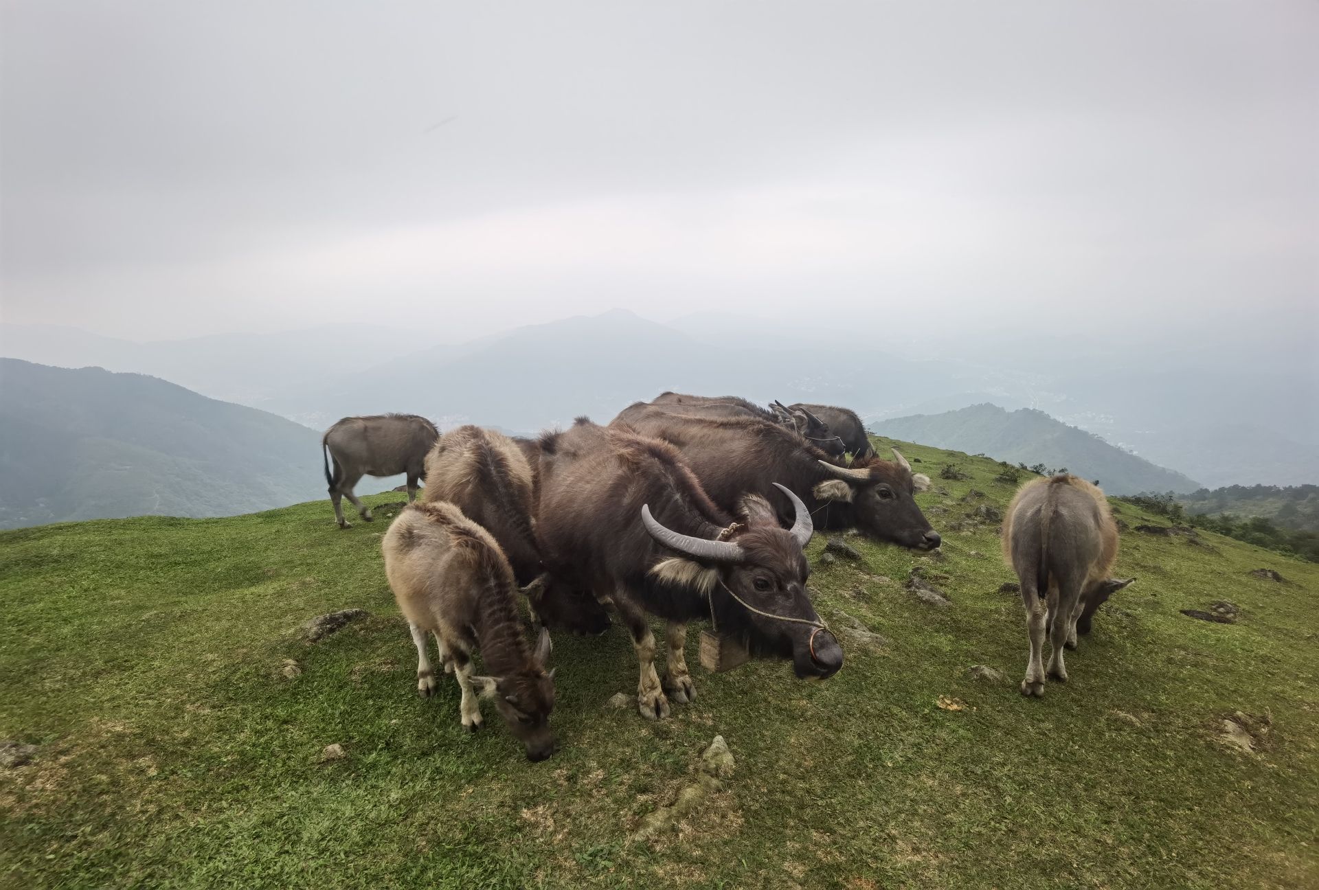 三官仔岭顶观瀑台旅行图片 2