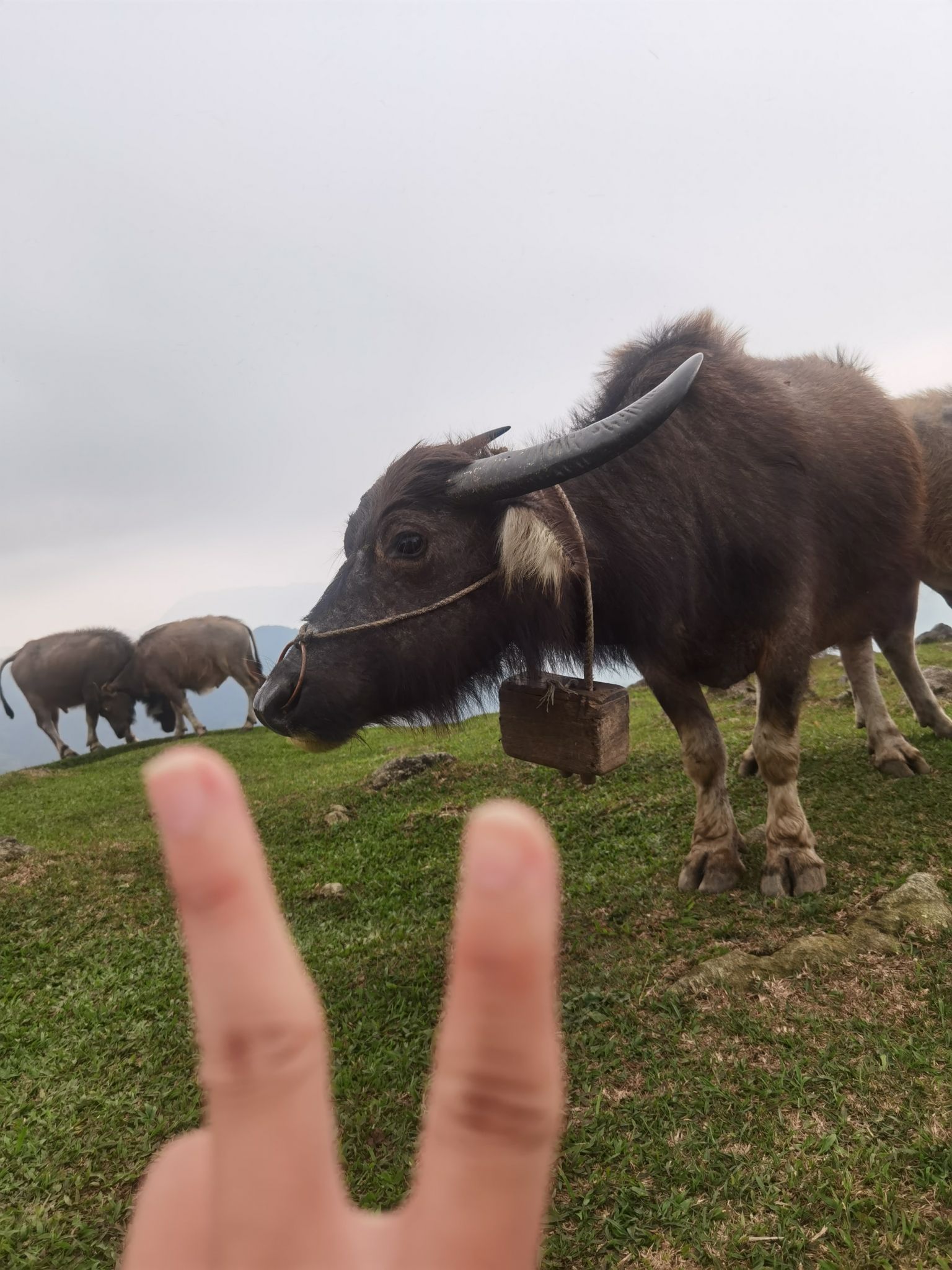 三官仔岭顶观瀑台旅行图片 3