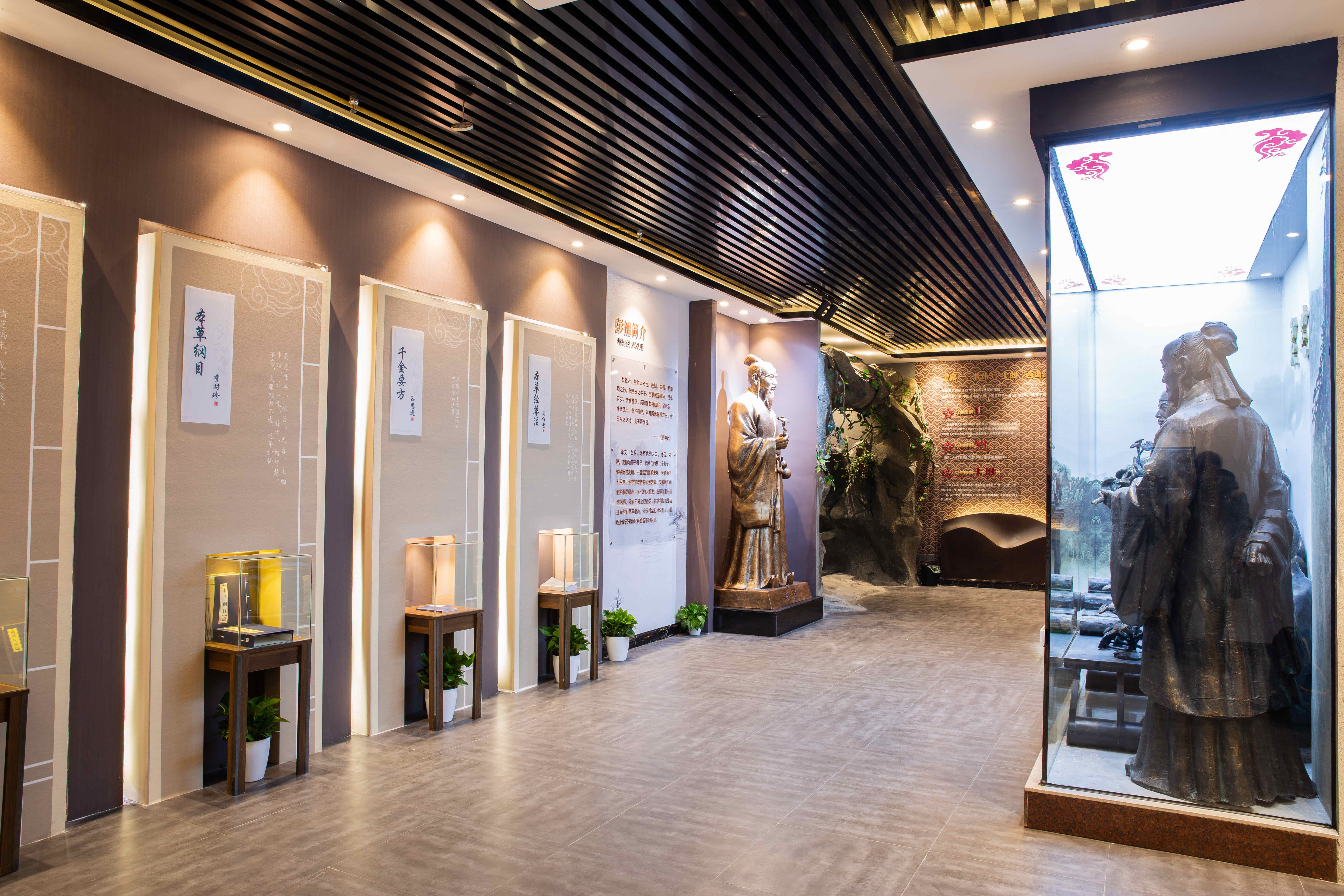 金寨灵芝博物馆