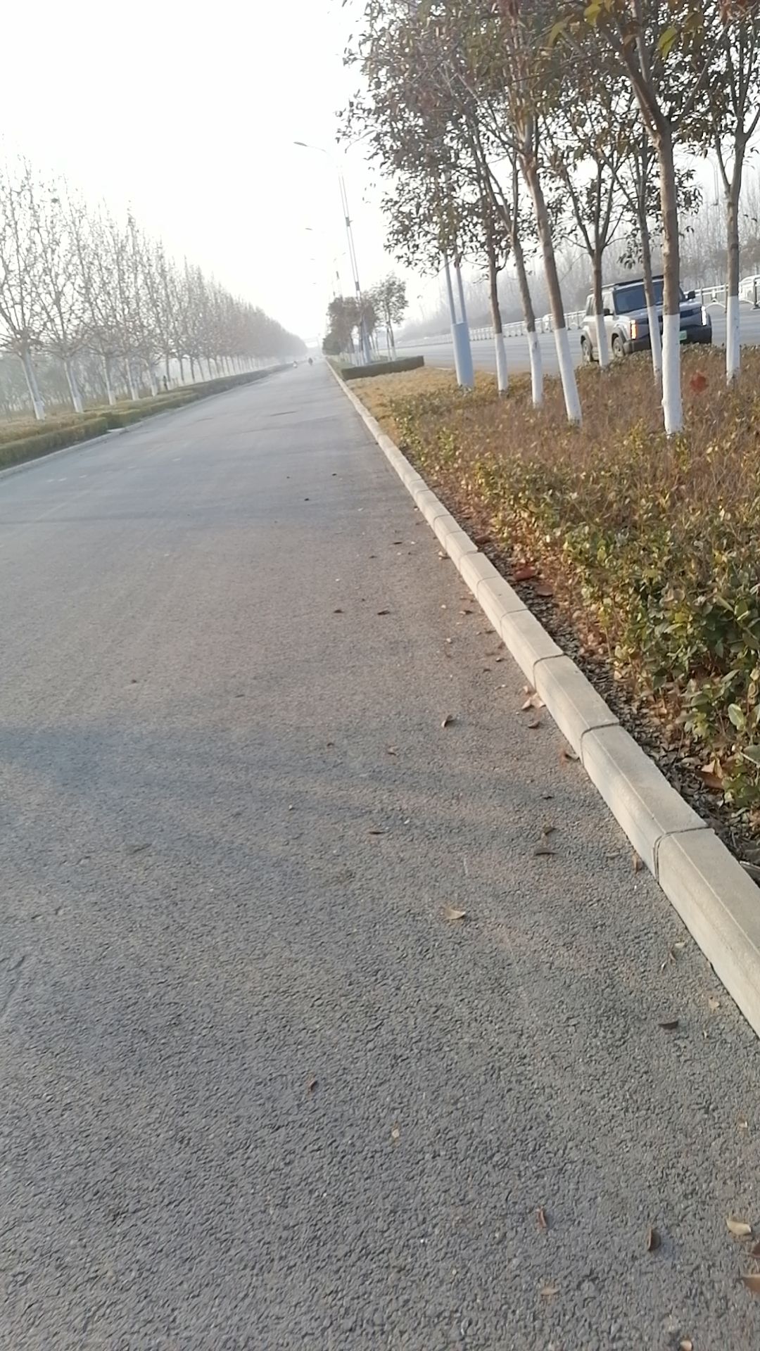 万福河沙滩主题公园旅行图片 1