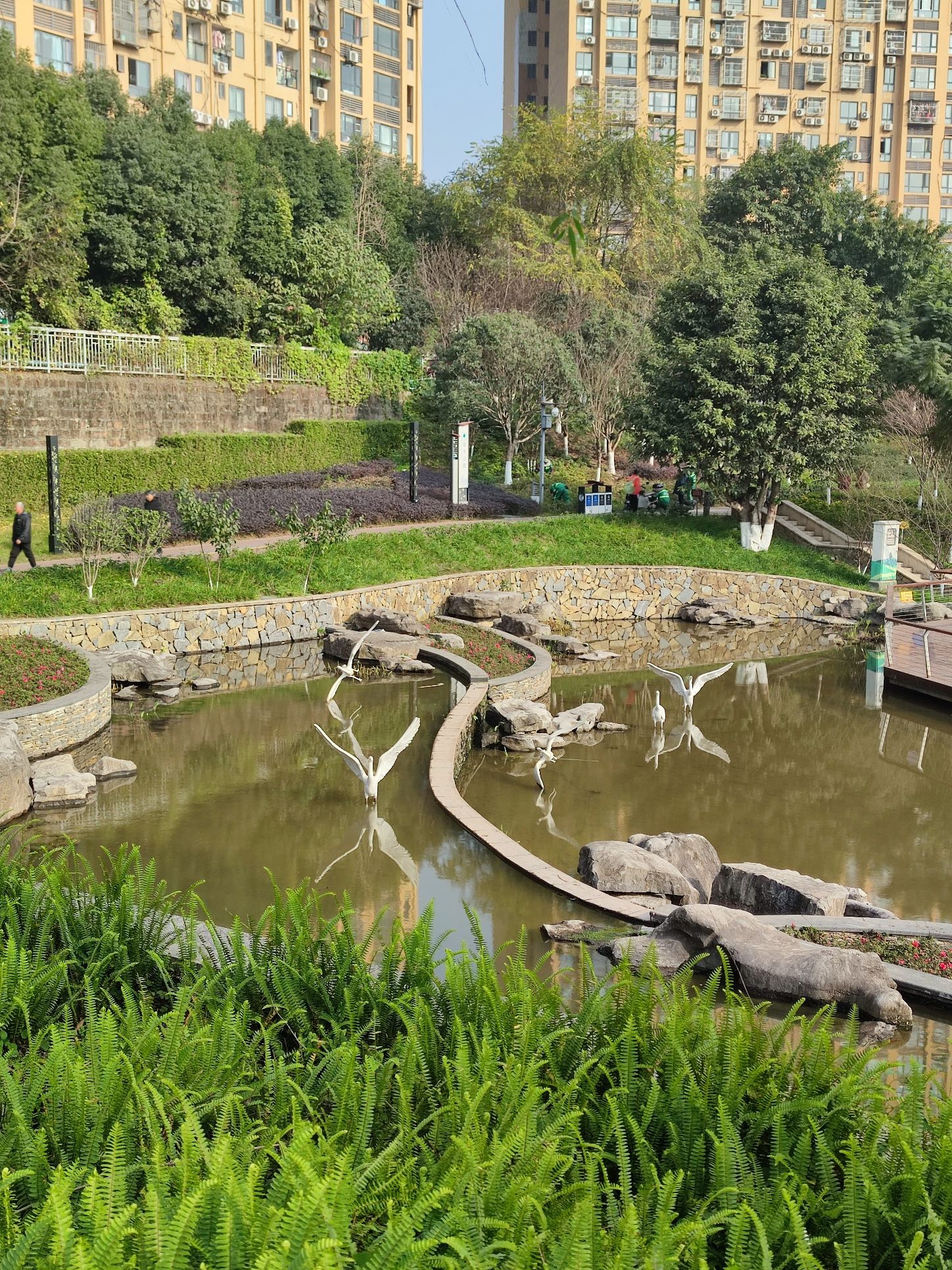 叠水公园旅行图片 1