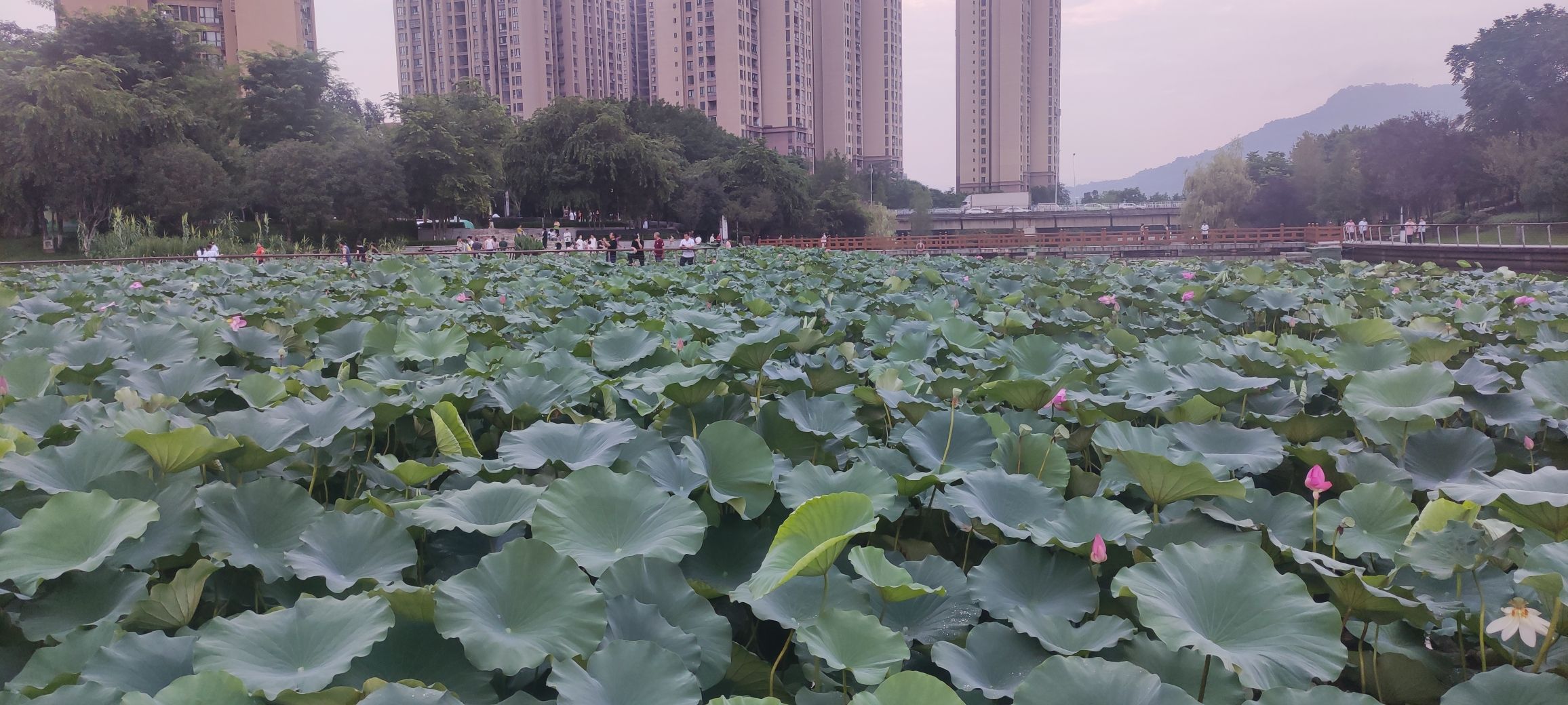叠水公园旅行图片 1