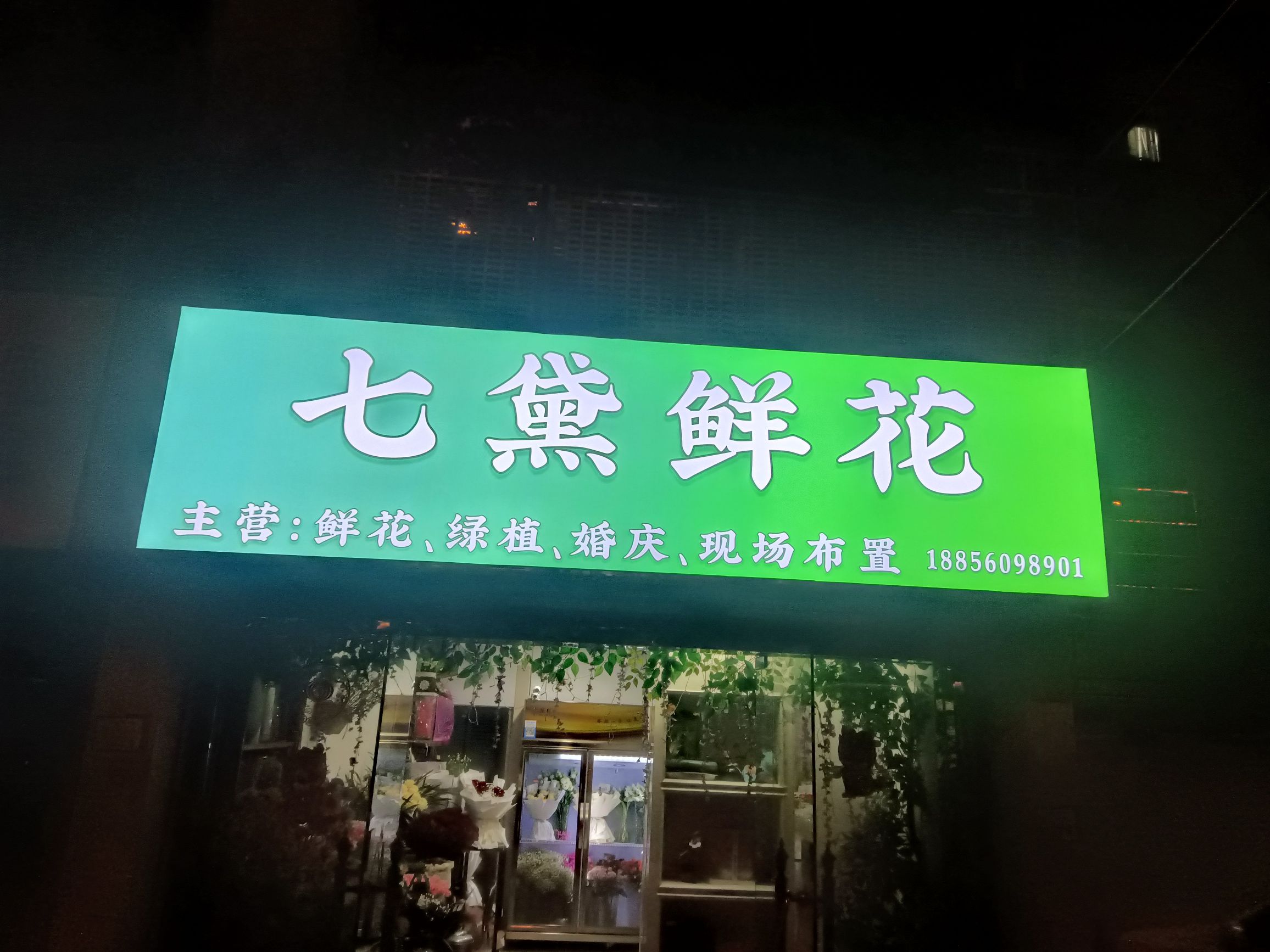 七黛鲜花(庐阳区步行街店)