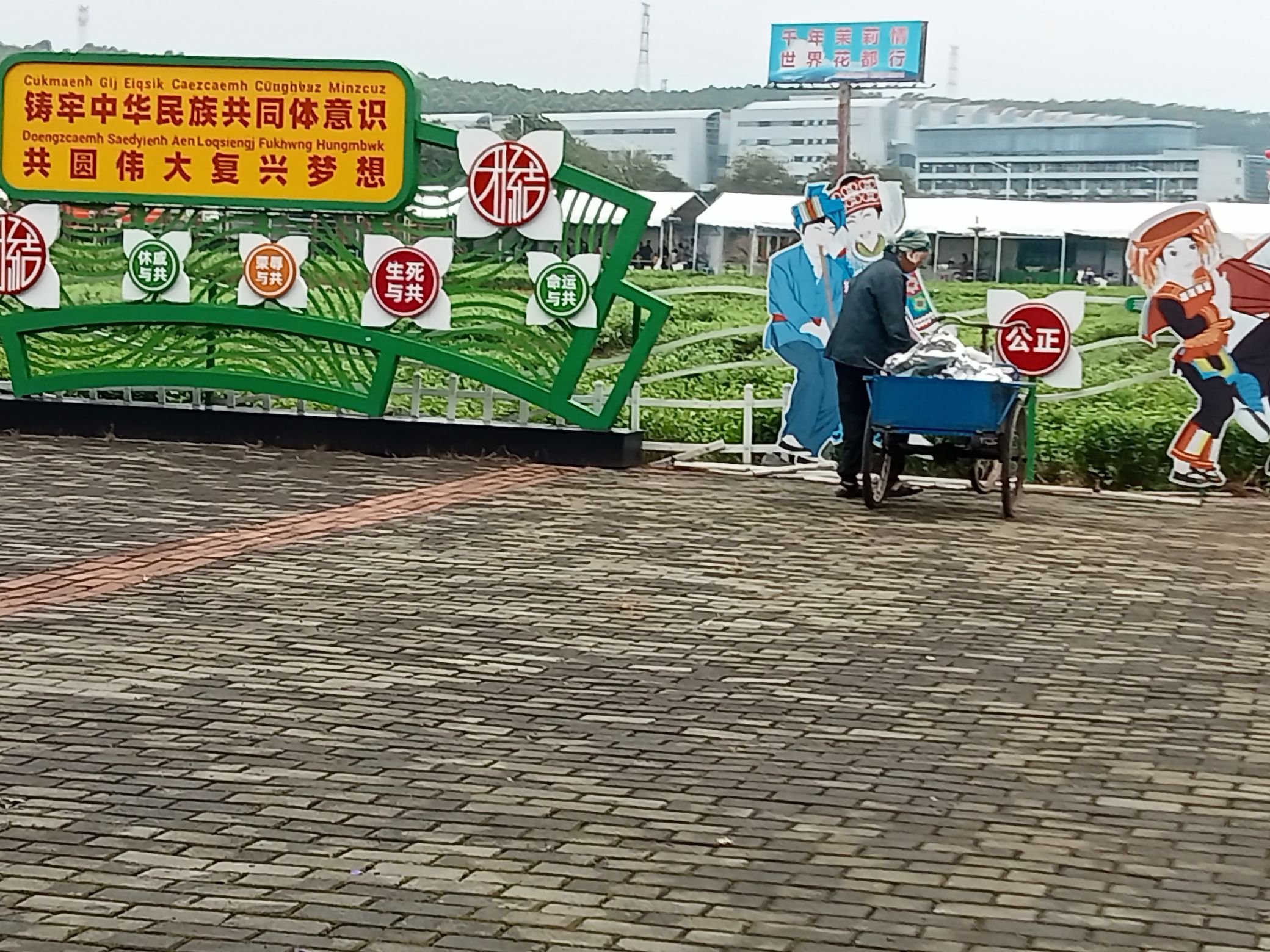 中国茉莉小镇旅行图片 1