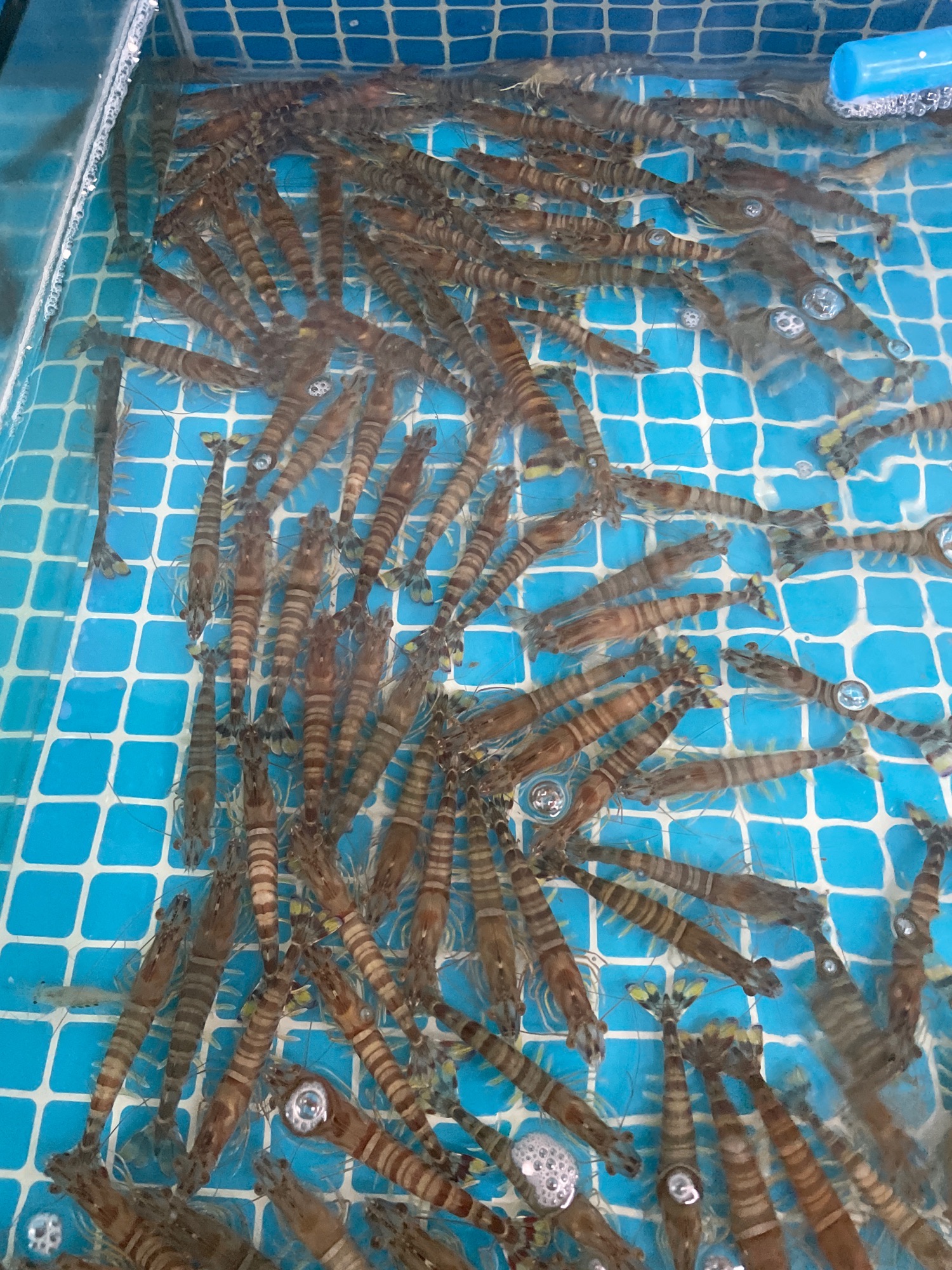 海聚海鲜超市(西商店)