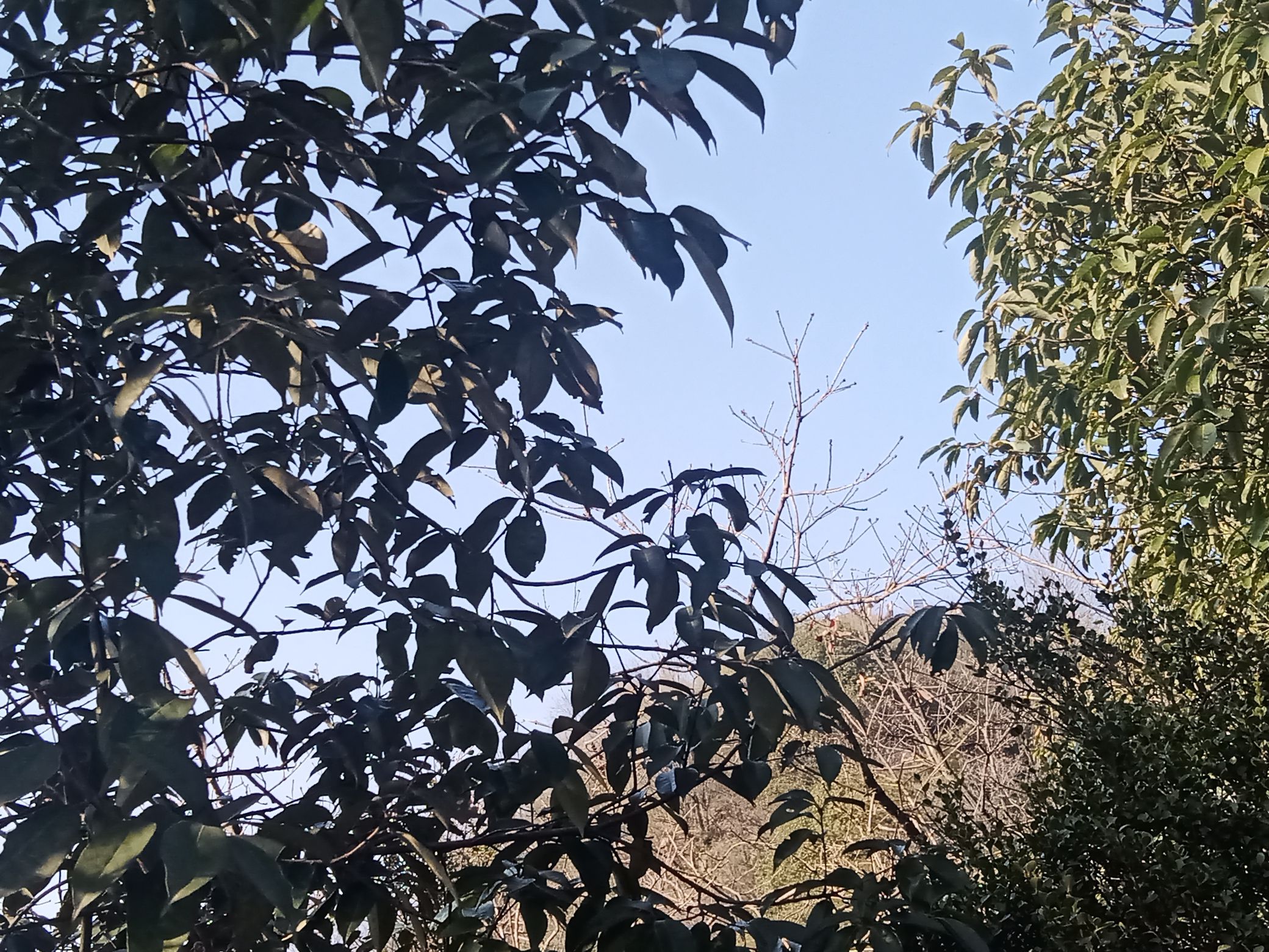 羞女山风景区旅行图片 3