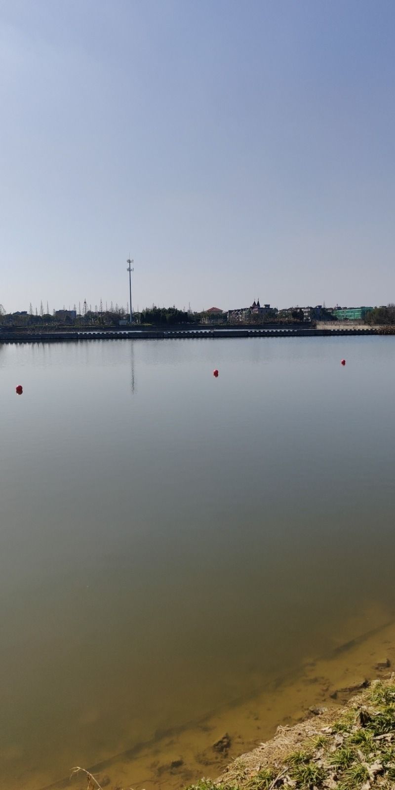 桐乡市大麻镇百富村白荡漾风景区旅行图片 3