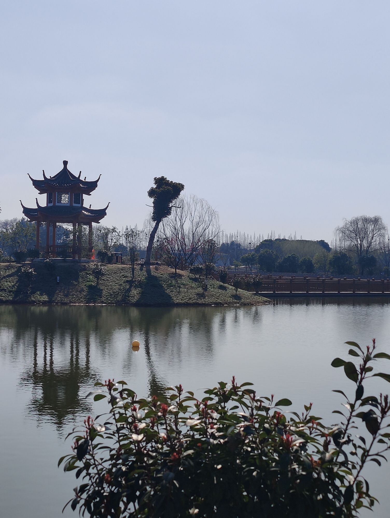 桐乡市大麻镇百富村白荡漾风景区旅行图片 1
