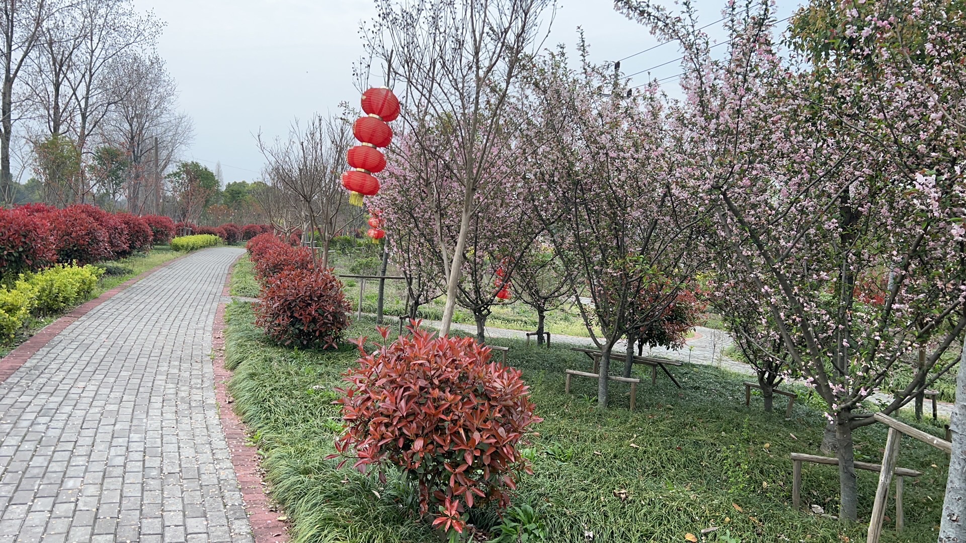 桐乡市大麻镇百富村白荡漾风景区旅行图片 3