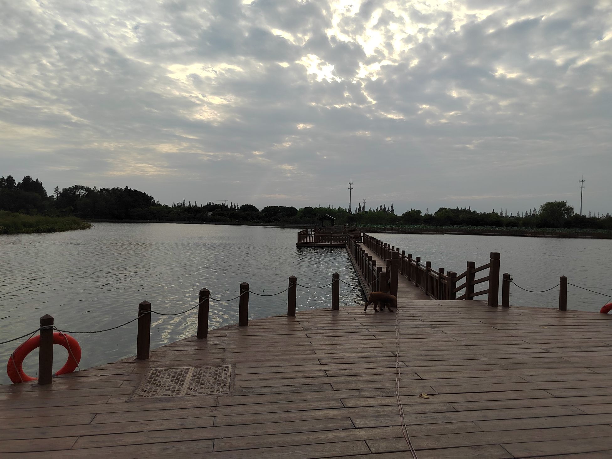 桐乡市大麻镇百富村白荡漾风景区旅行图片 1