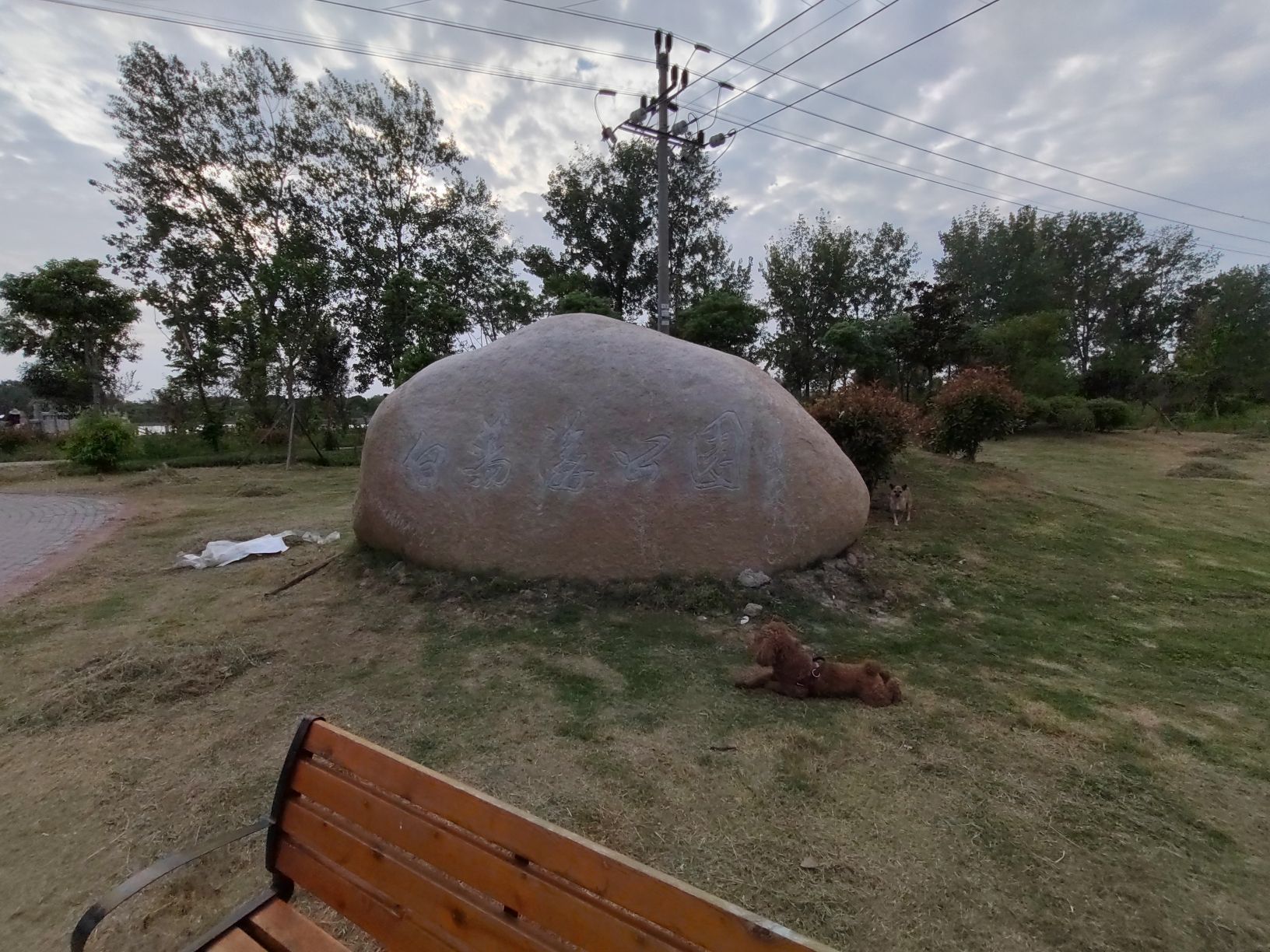桐乡市大麻镇百富村白荡漾风景区旅行图片 3