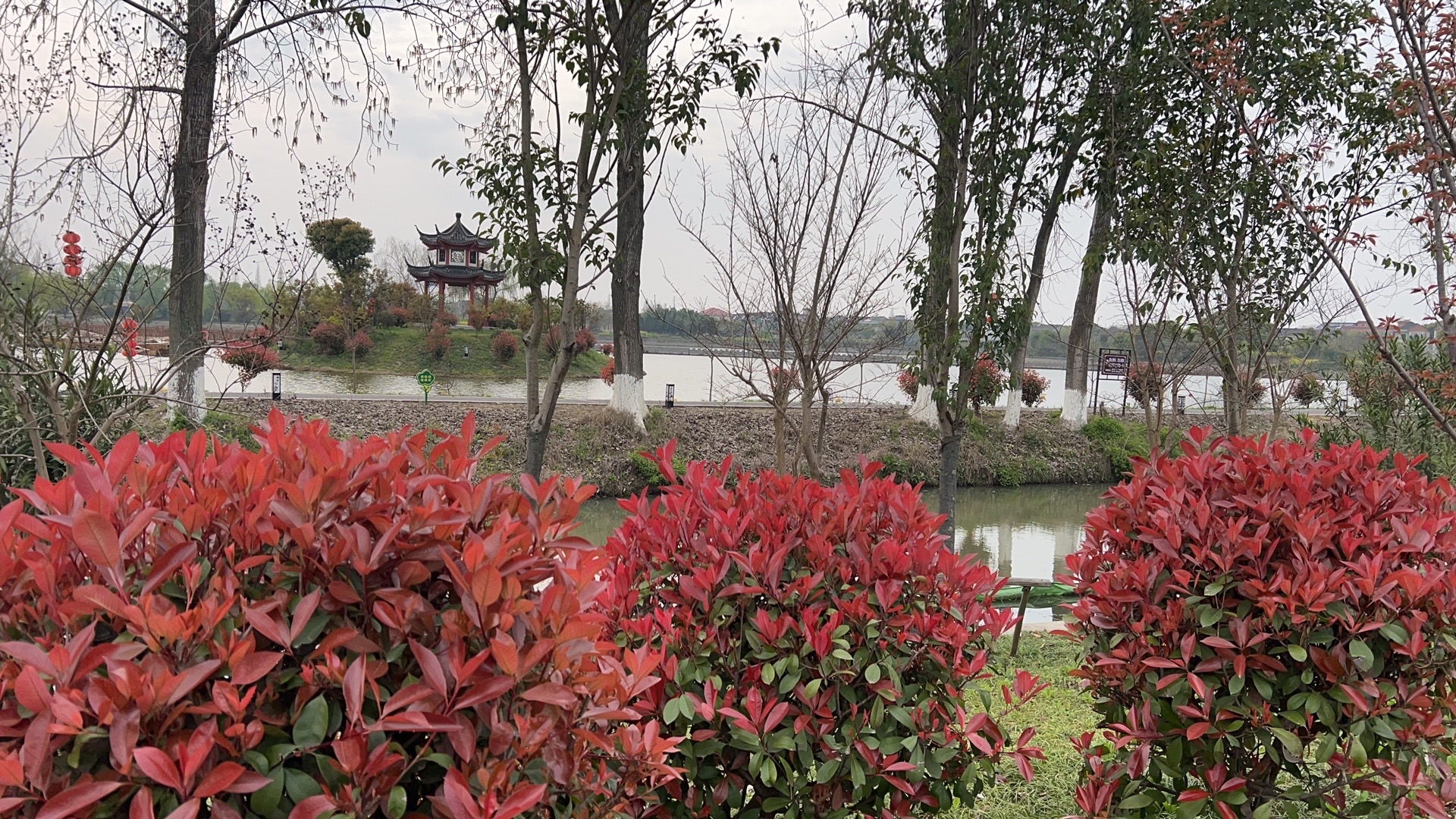 桐乡市大麻镇百富村白荡漾风景区旅行图片 2
