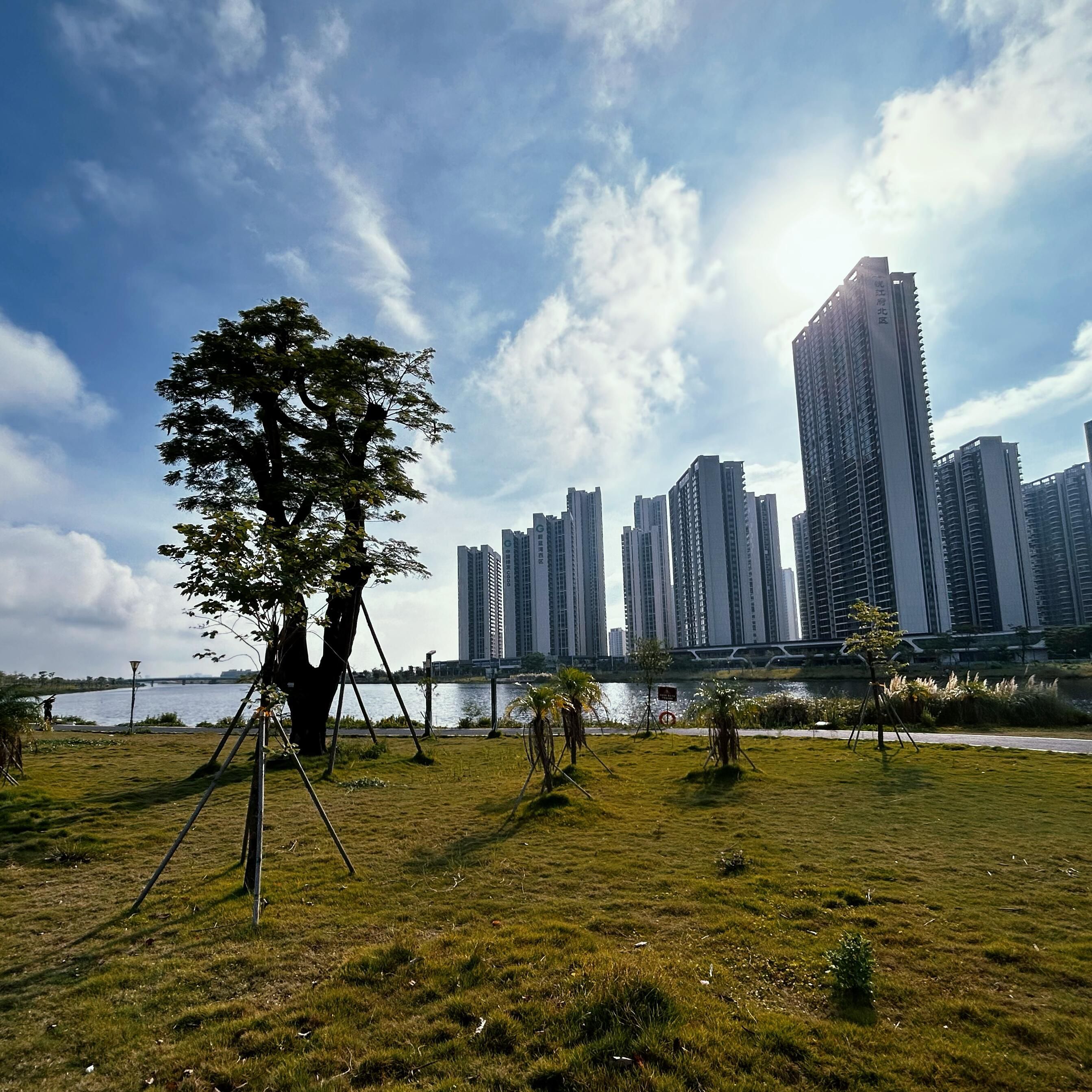 侨韵公园旅行图片 3