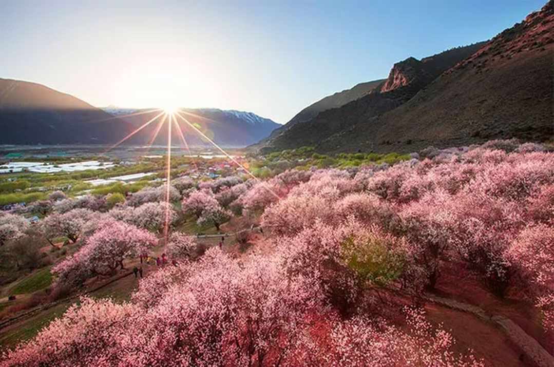 桃花源