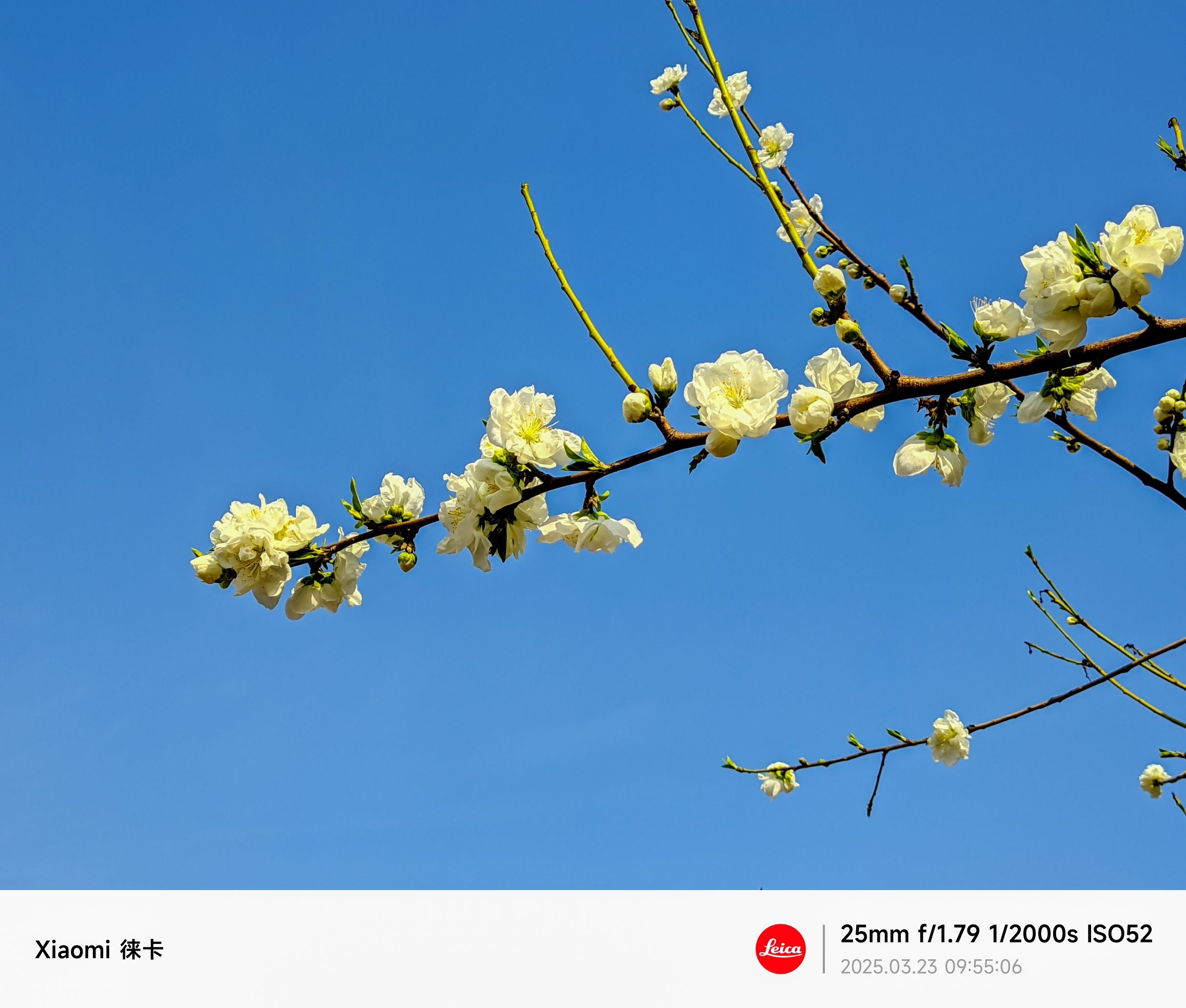 桃花源