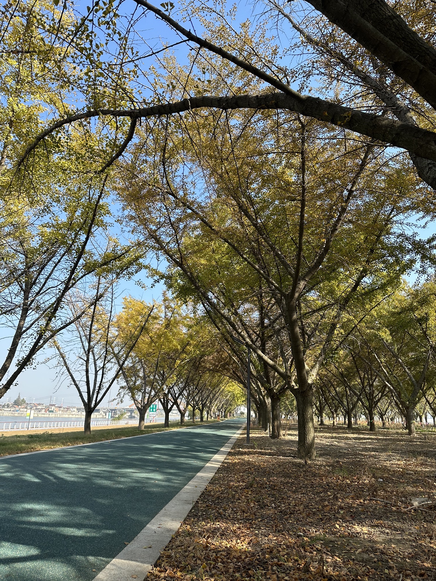 三河湾公园旅行图片 2