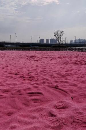 三河湾公园旅行图片 3