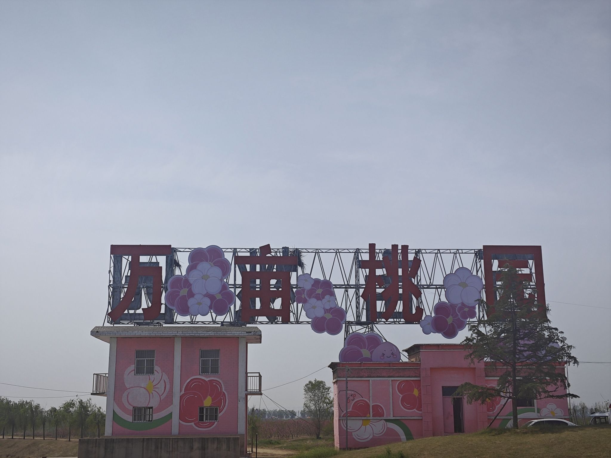 原阳万亩桃园旅行图片 3