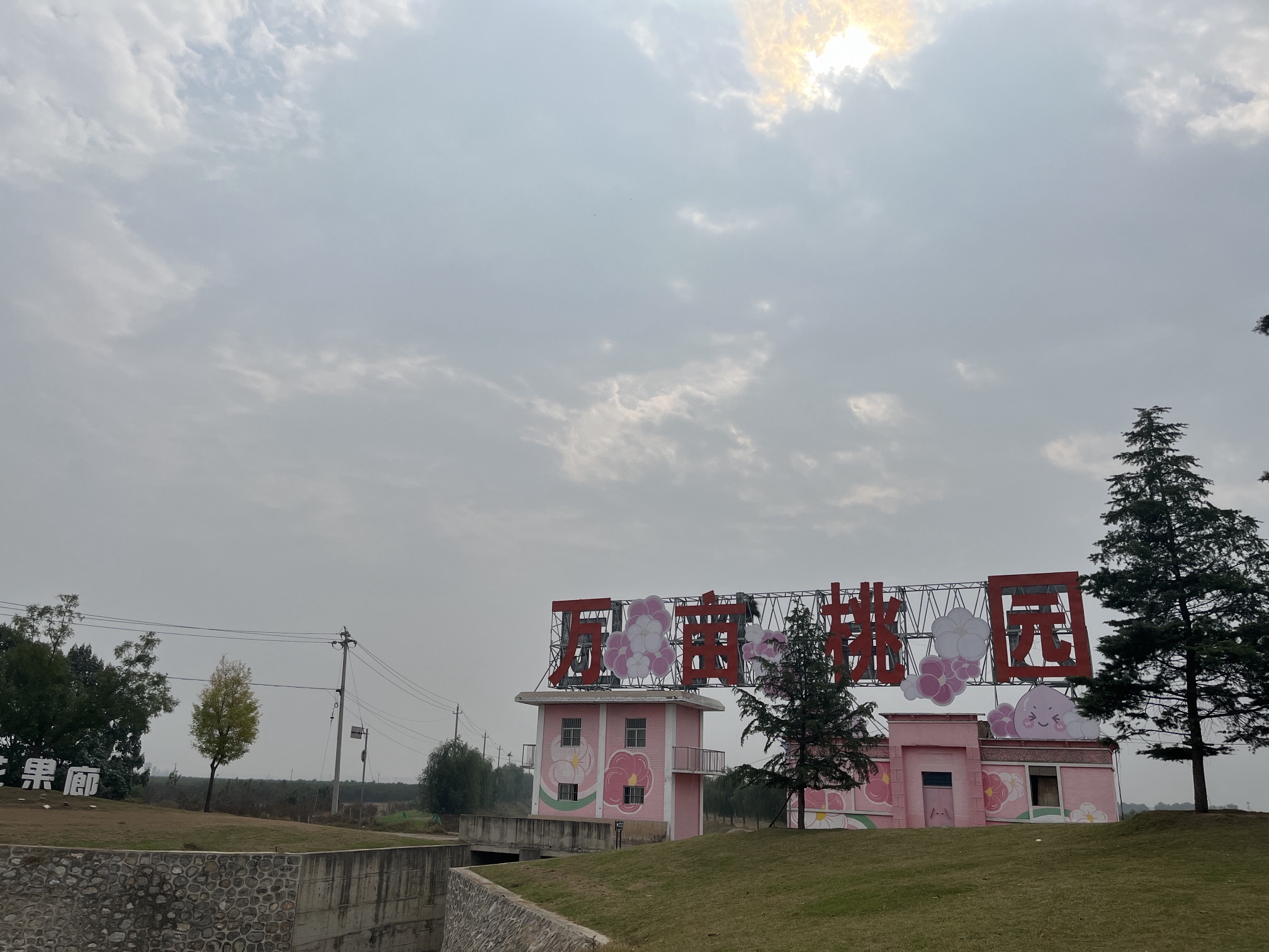 原阳万亩桃园旅行图片 1