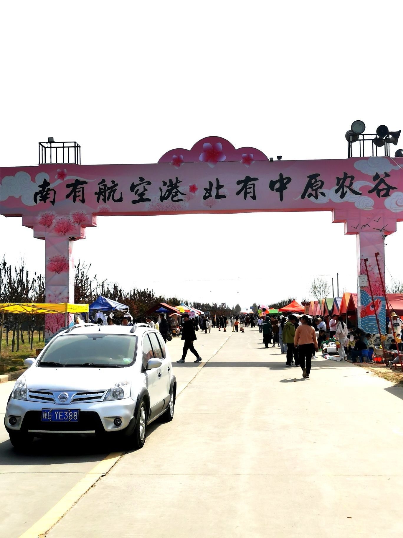 原阳万亩桃园旅行图片 1