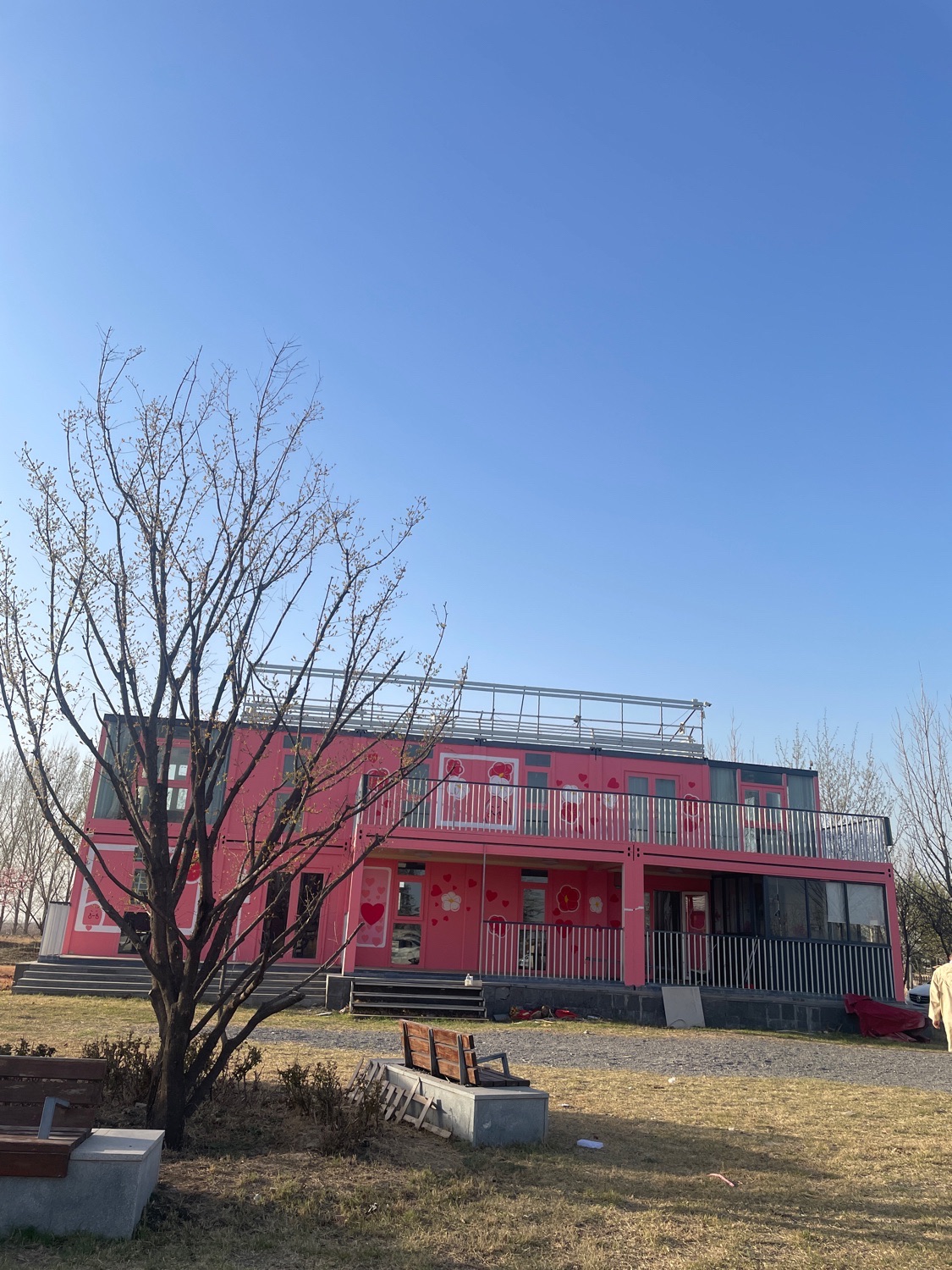 原阳万亩桃园