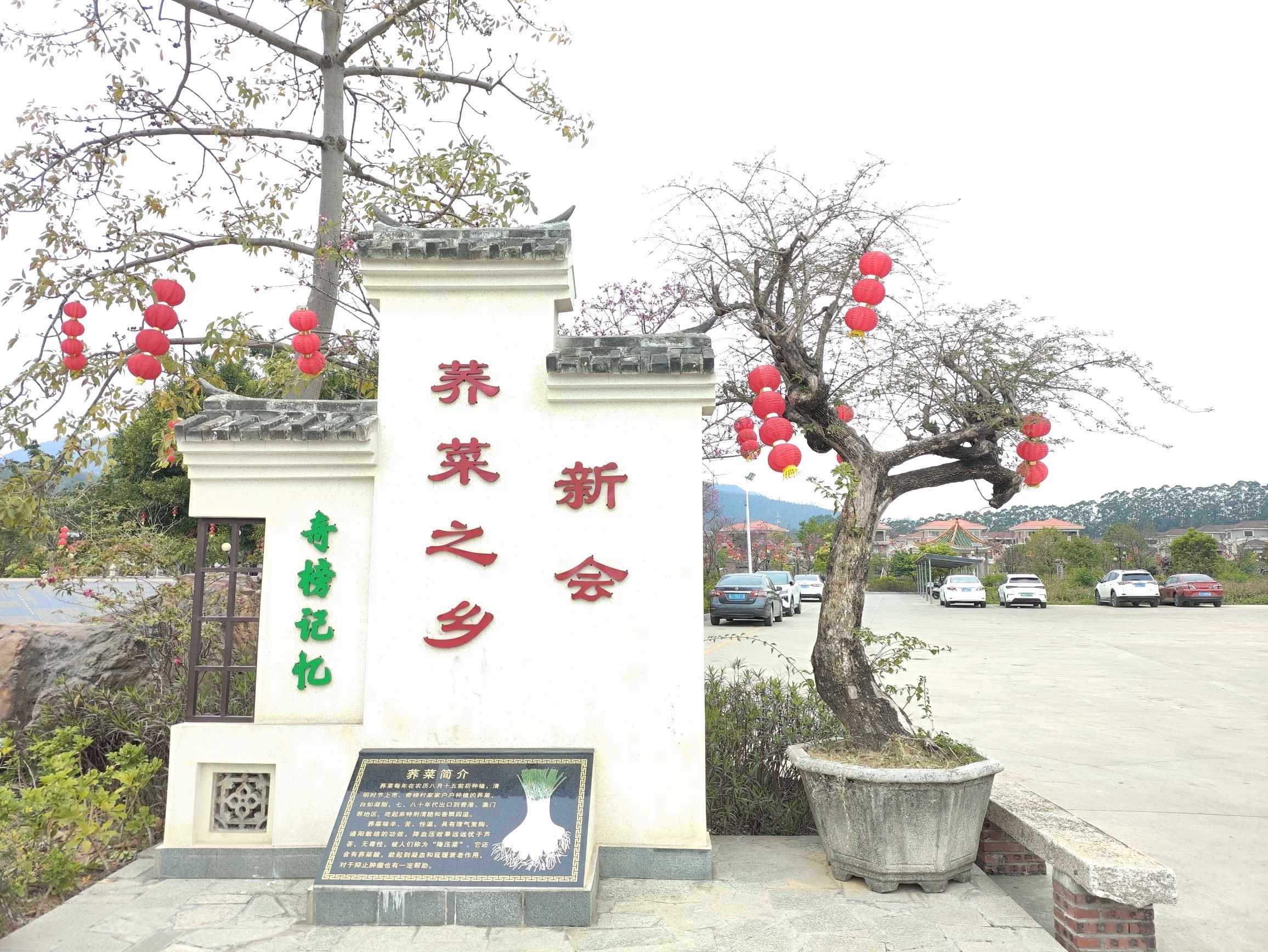 同心湖公园旅行图片 1