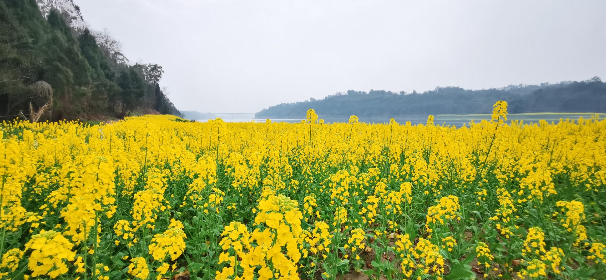 石盘镇沙滩公园旅行图片 1