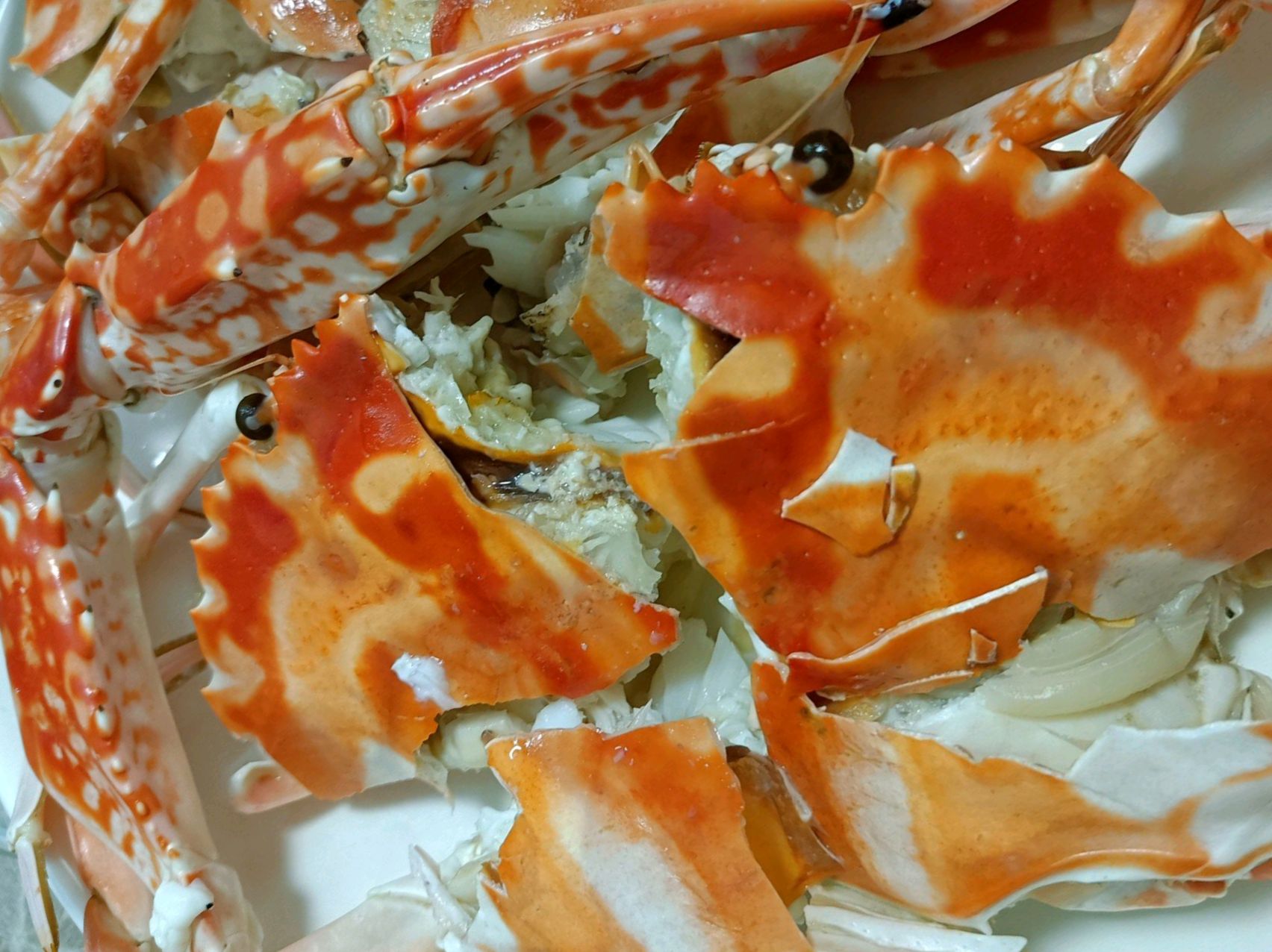 三联渔港美食店
