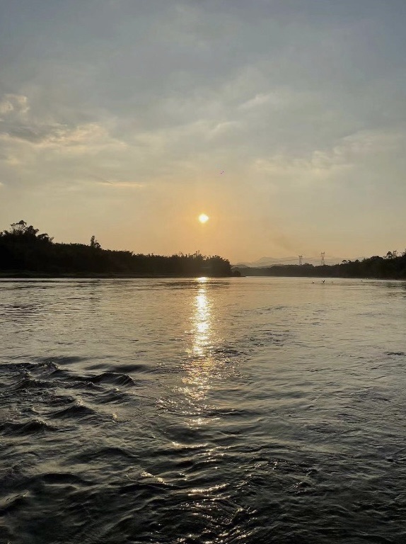 西门湿地公园旅行图片 3