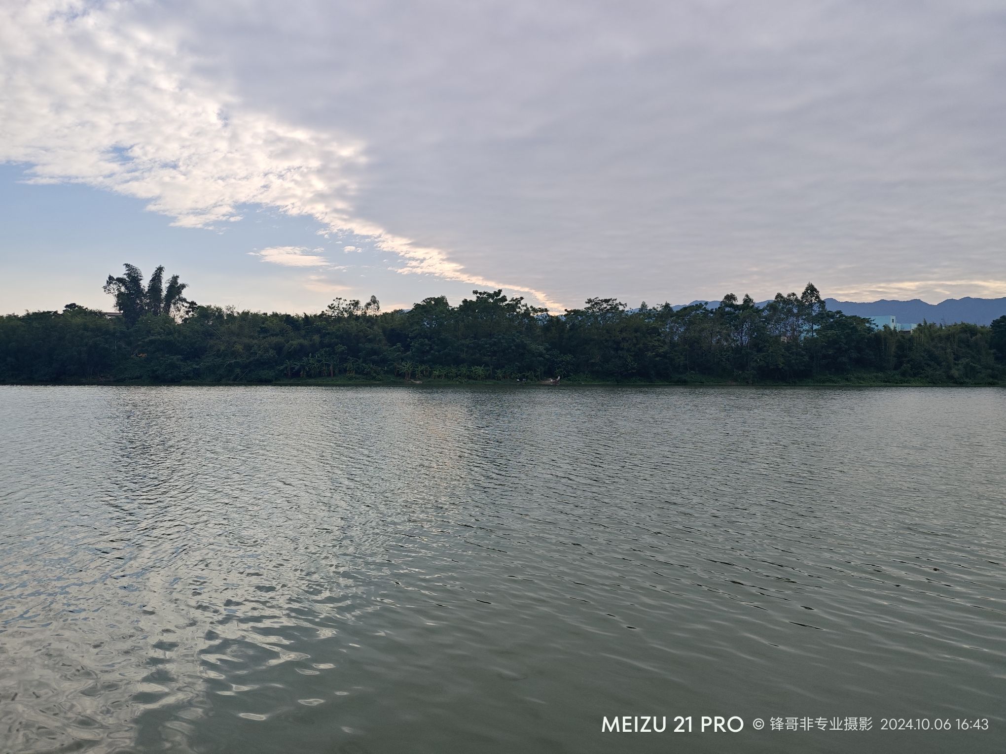 西门湿地公园旅行图片 3
