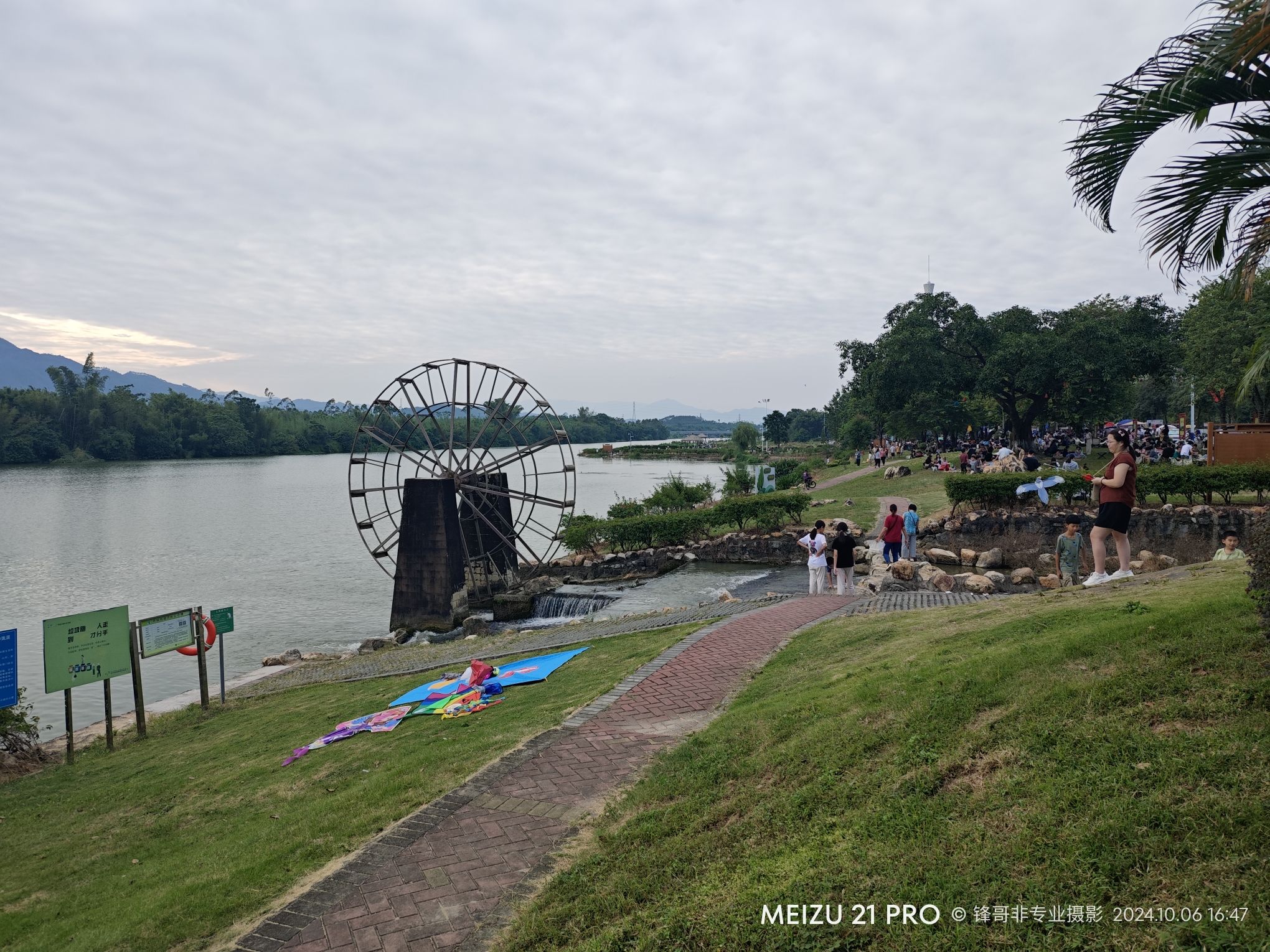 西门湿地公园旅行图片 1