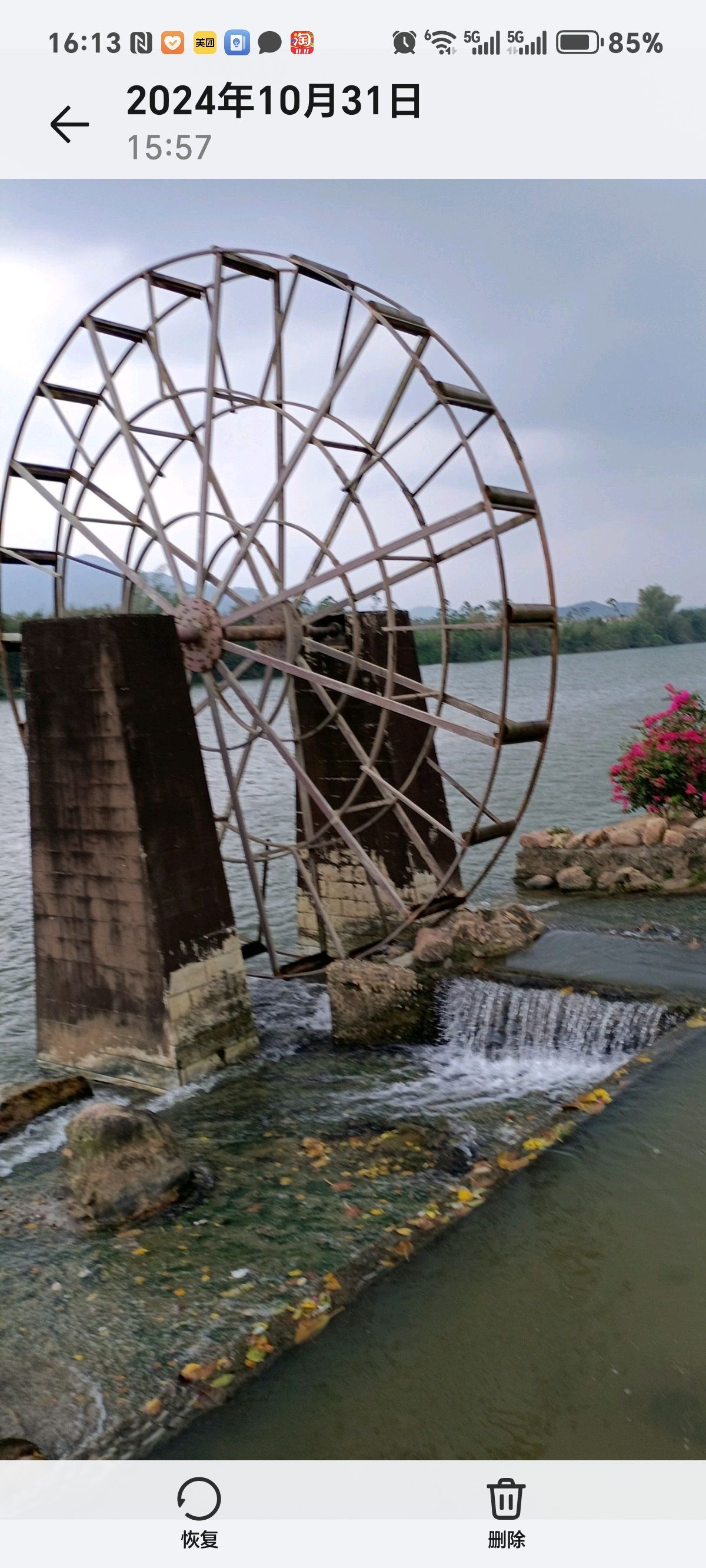 西门湿地公园旅行图片 1