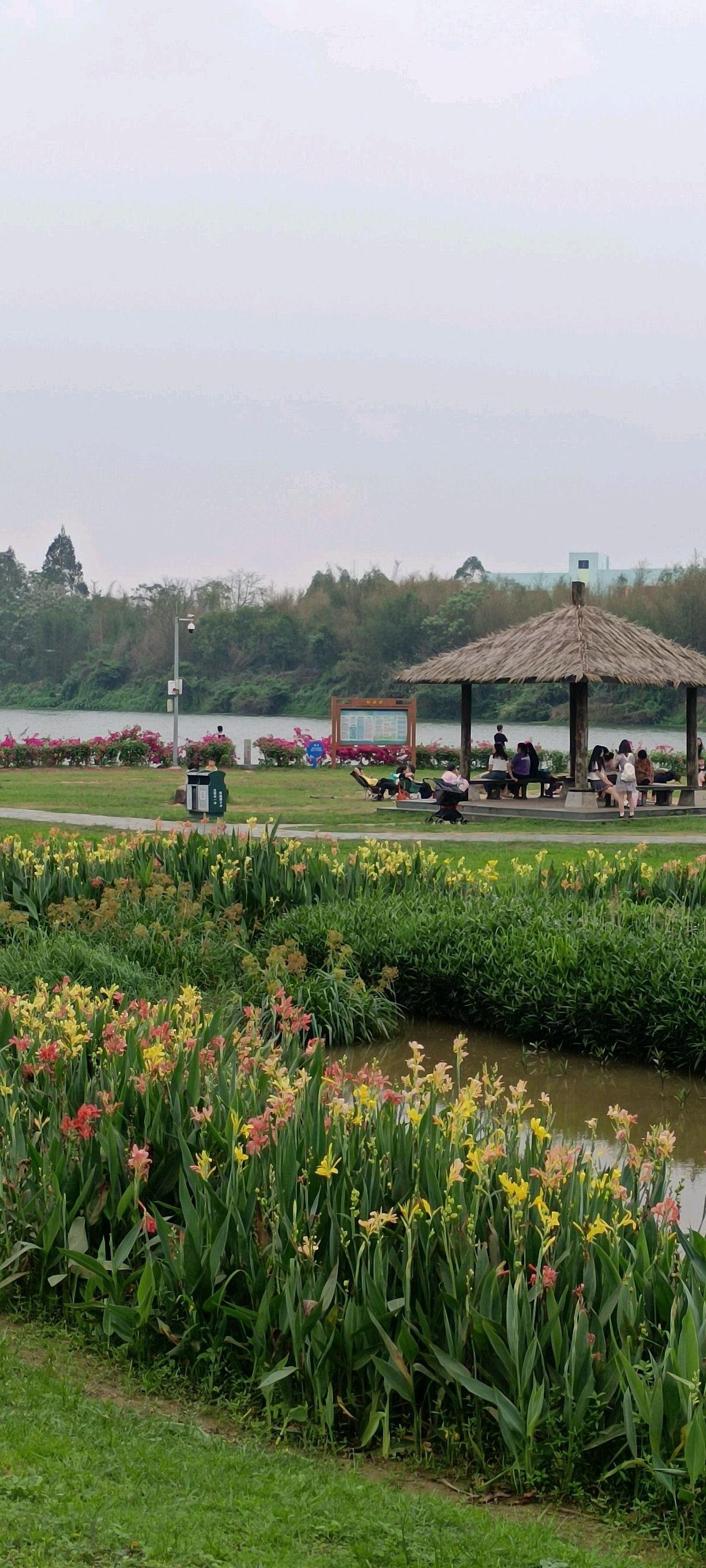 西门湿地公园旅行图片 3