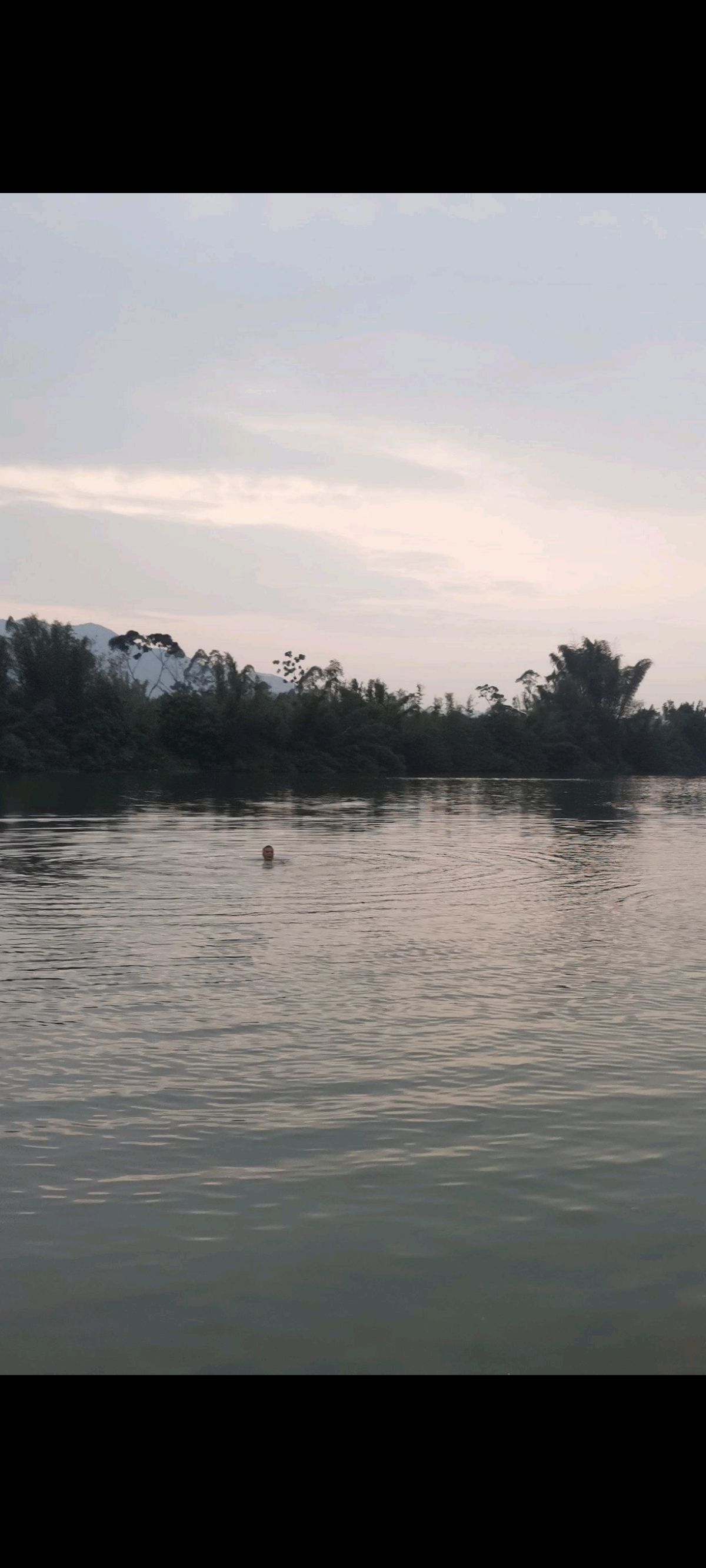 西门湿地公园旅行图片 2