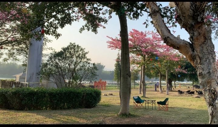 西门湿地公园旅行图片 3