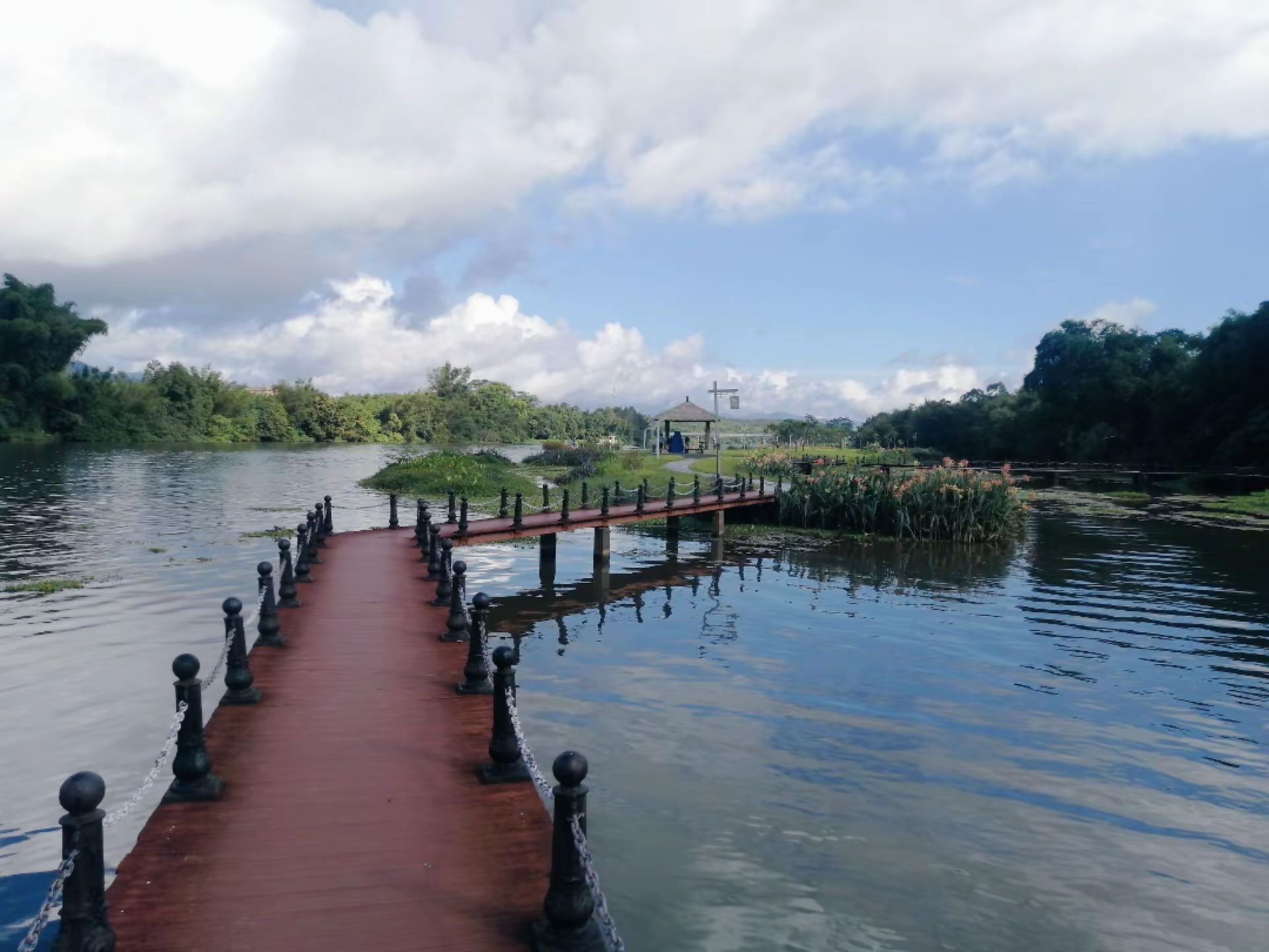 西门湿地公园旅行图片 2