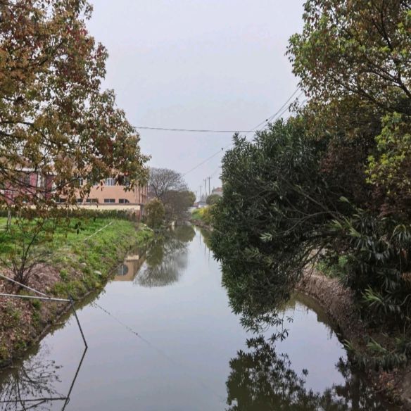 海塘公园旅行图片 2