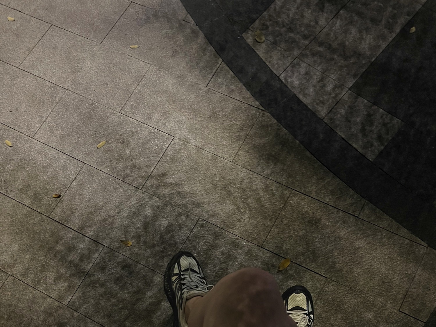 葫芦公园旅行图片 3