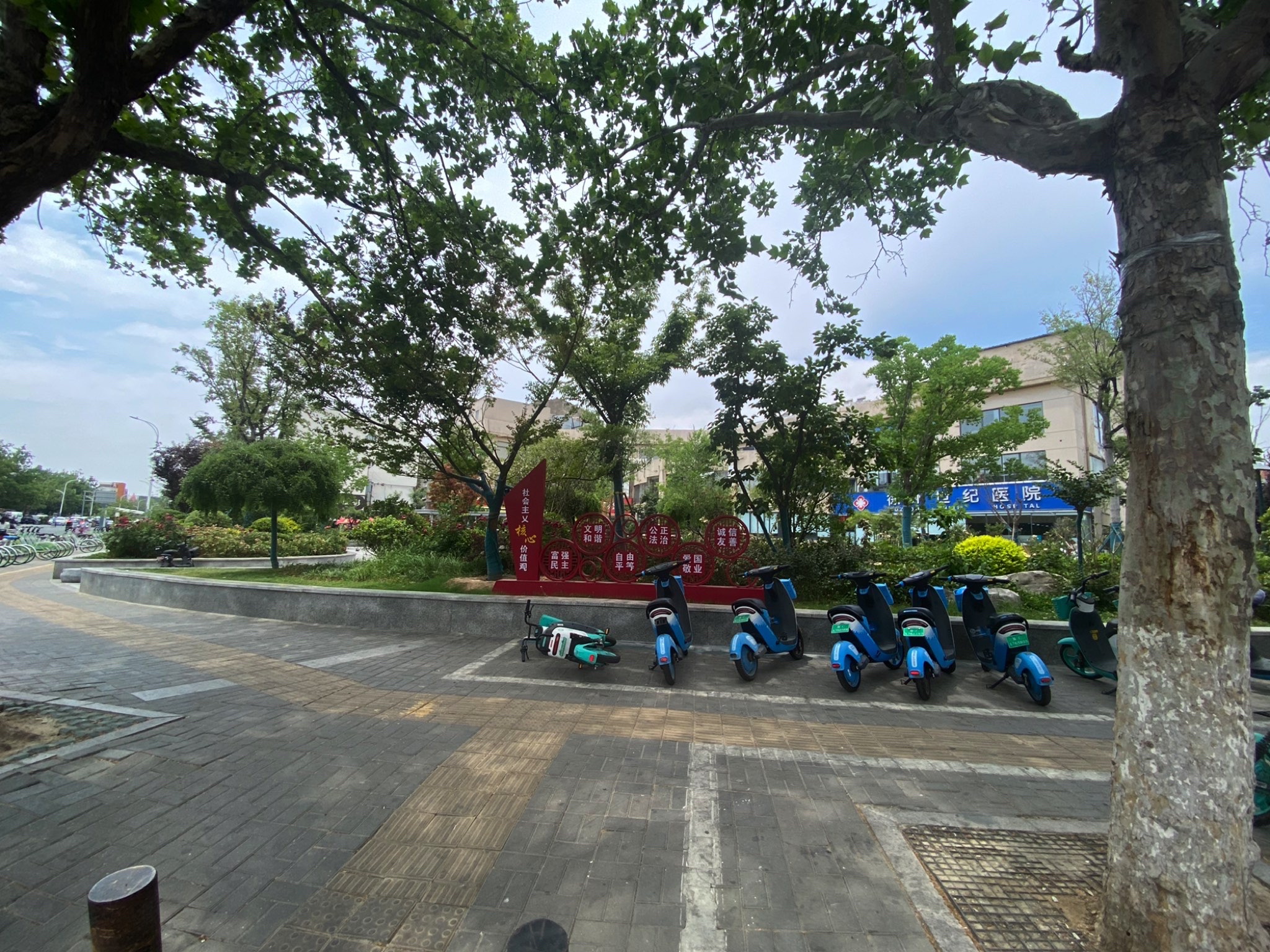 民富园口袋公园旅行图片 1