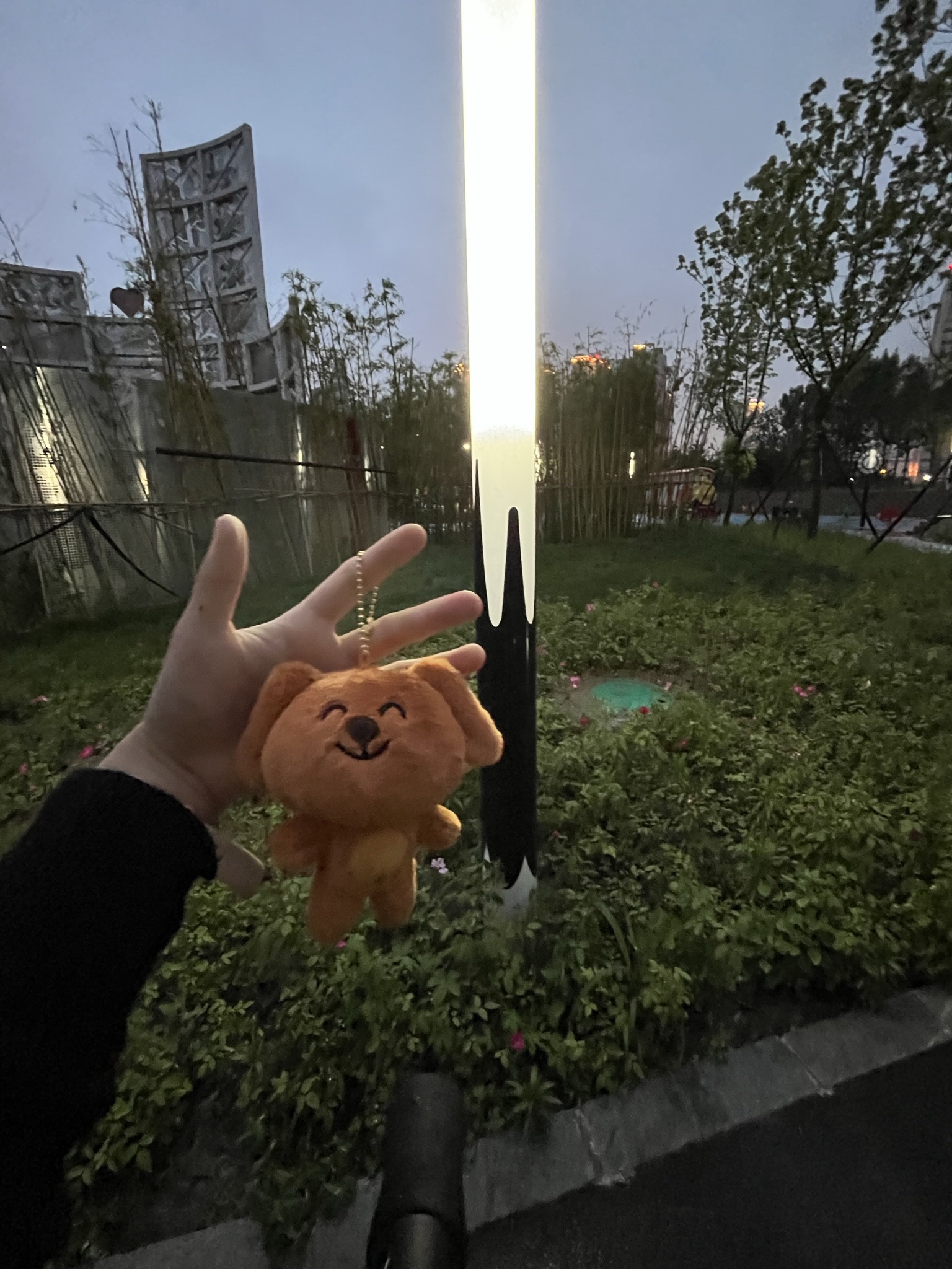 华星公园旅行图片 3
