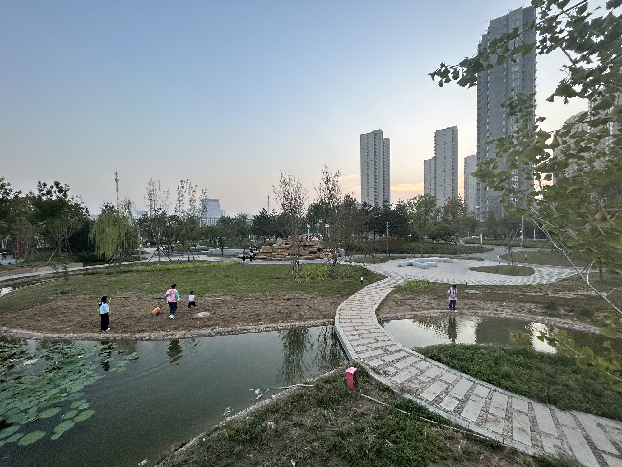 华星公园旅行图片 1