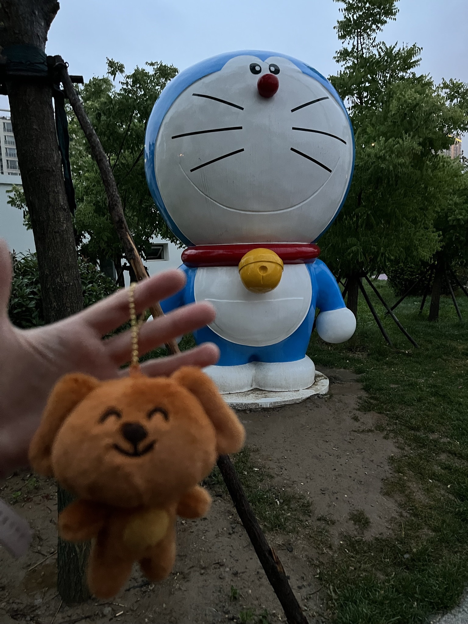 华星公园旅行图片 2