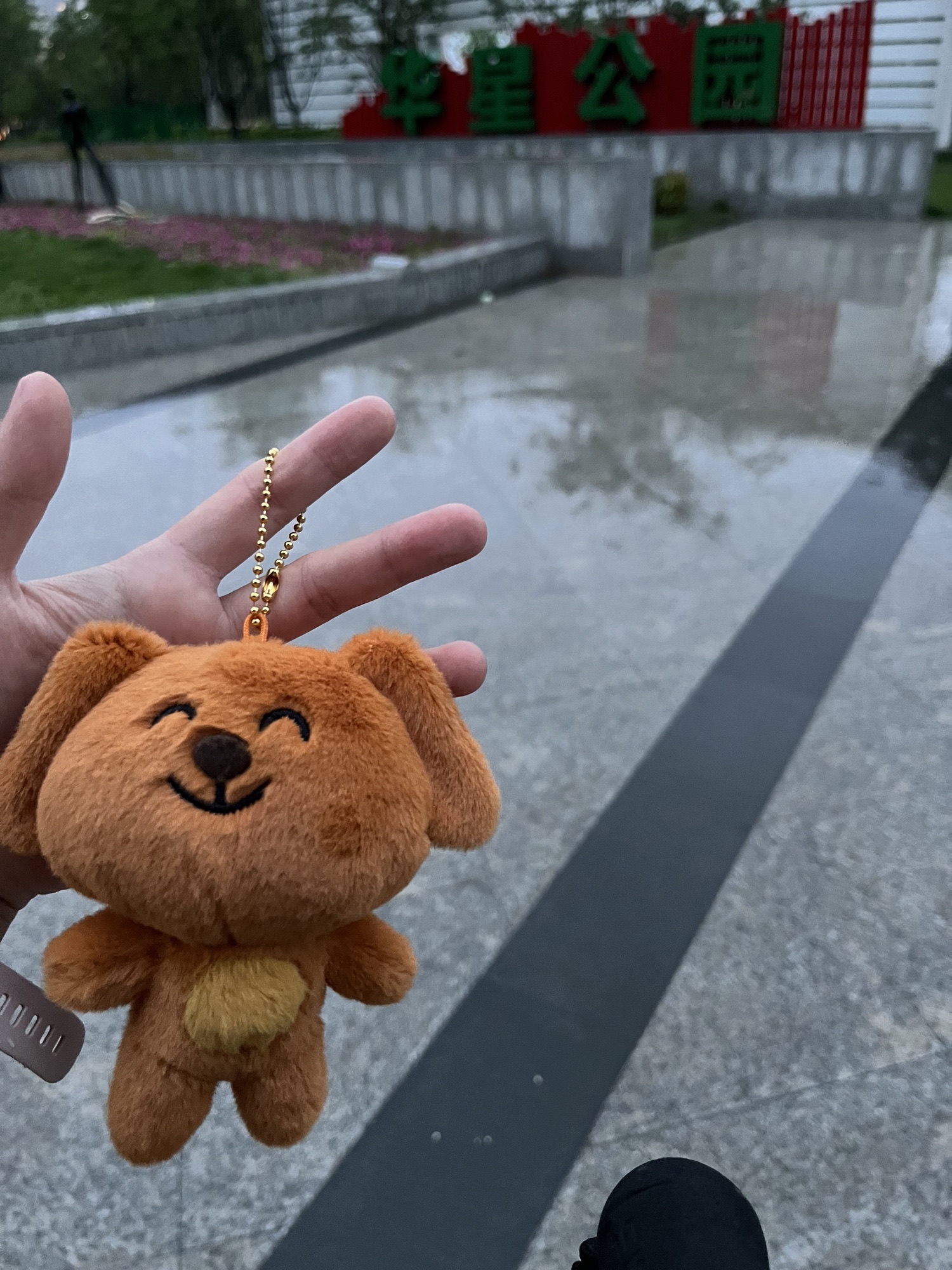 华星公园旅行图片 1