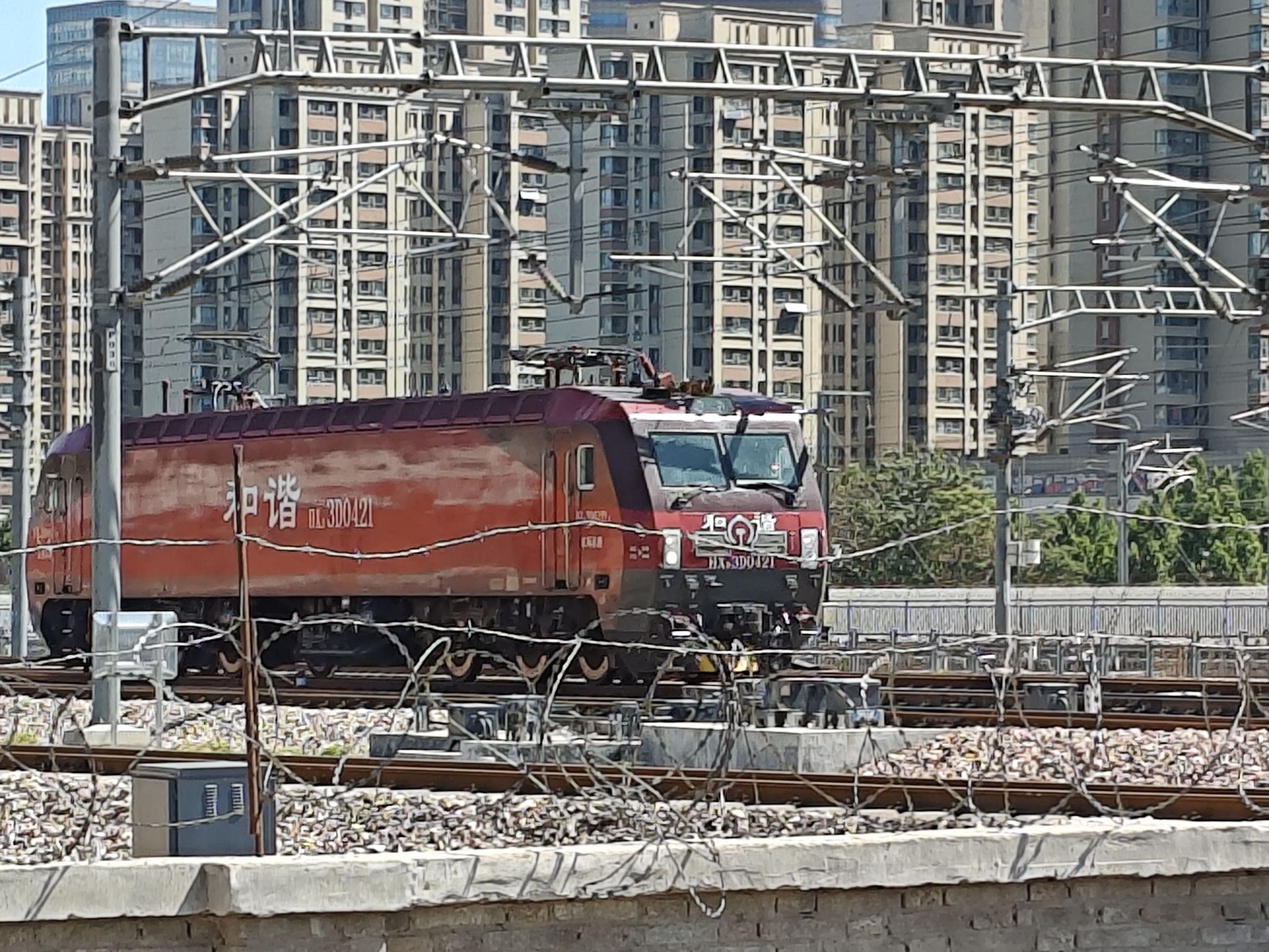 华星公园旅行图片 3