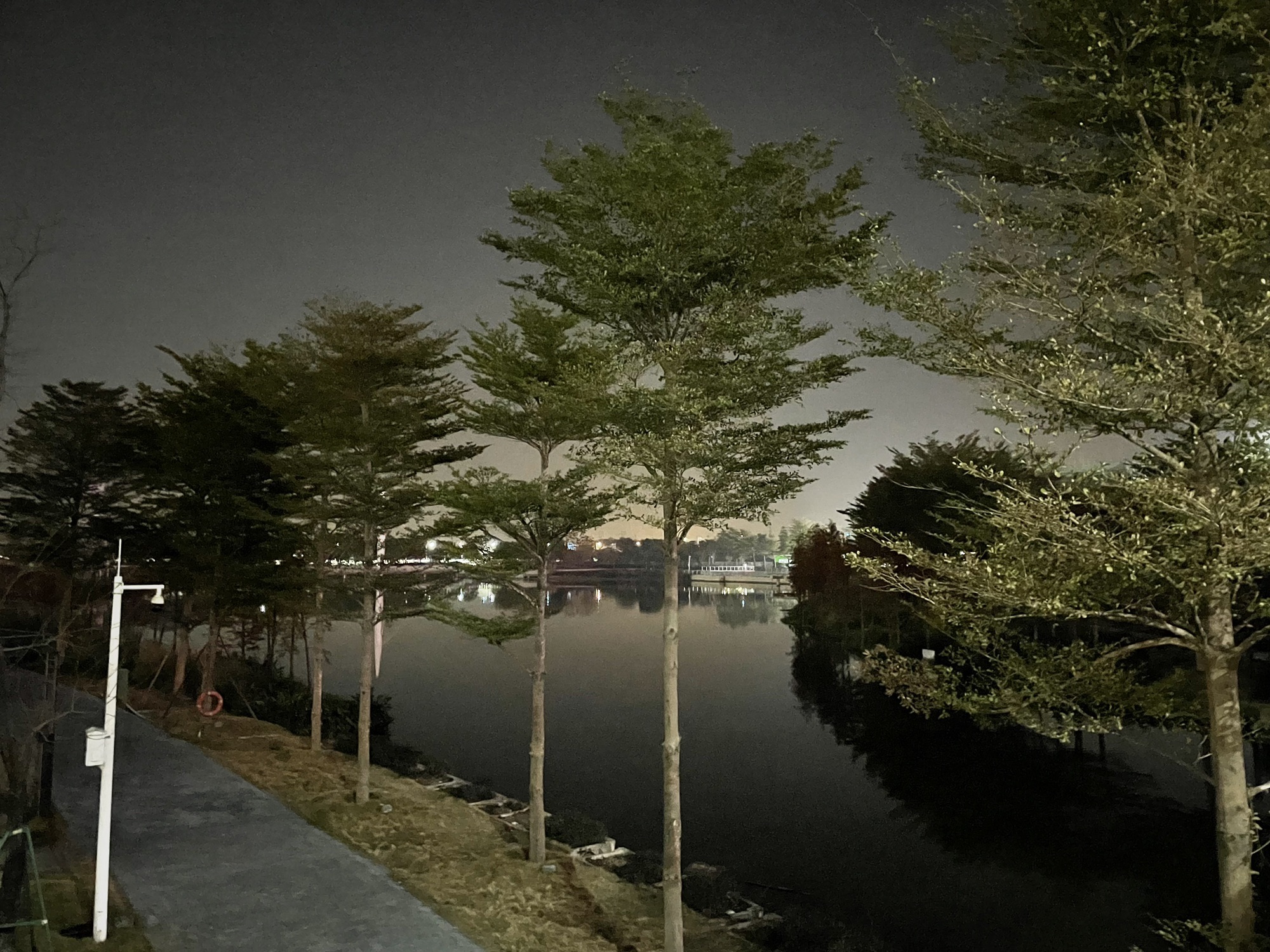 智谷公园旅行图片 2
