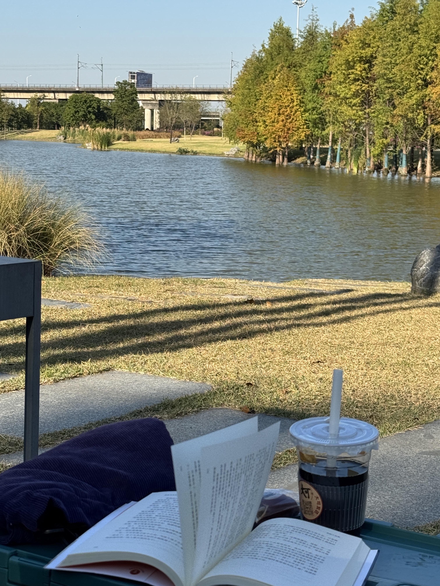 智谷公园旅行图片 2