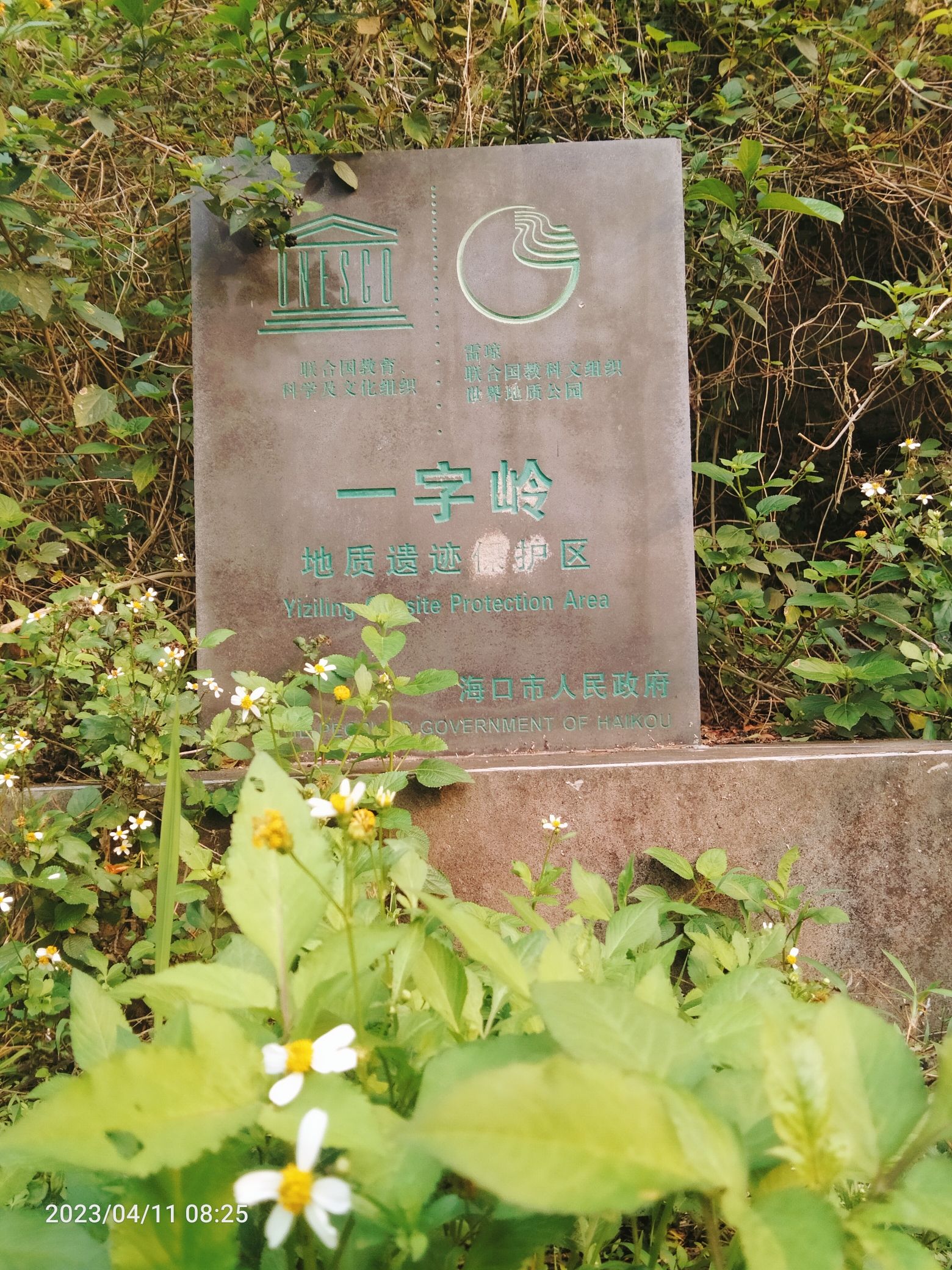 一字岭旅行图片 1