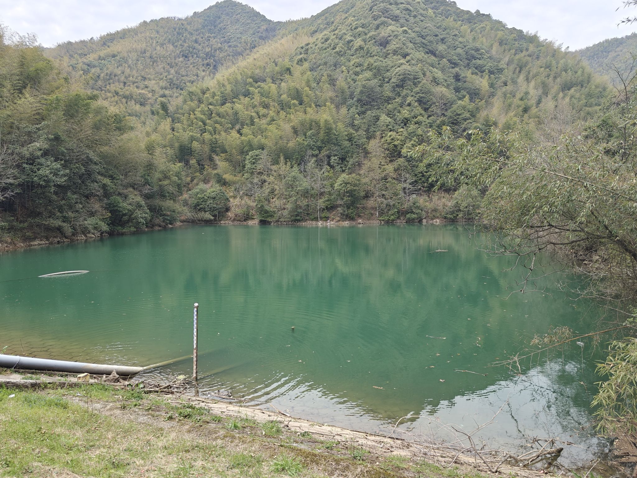场地封面-桐洲岛海岸线营地